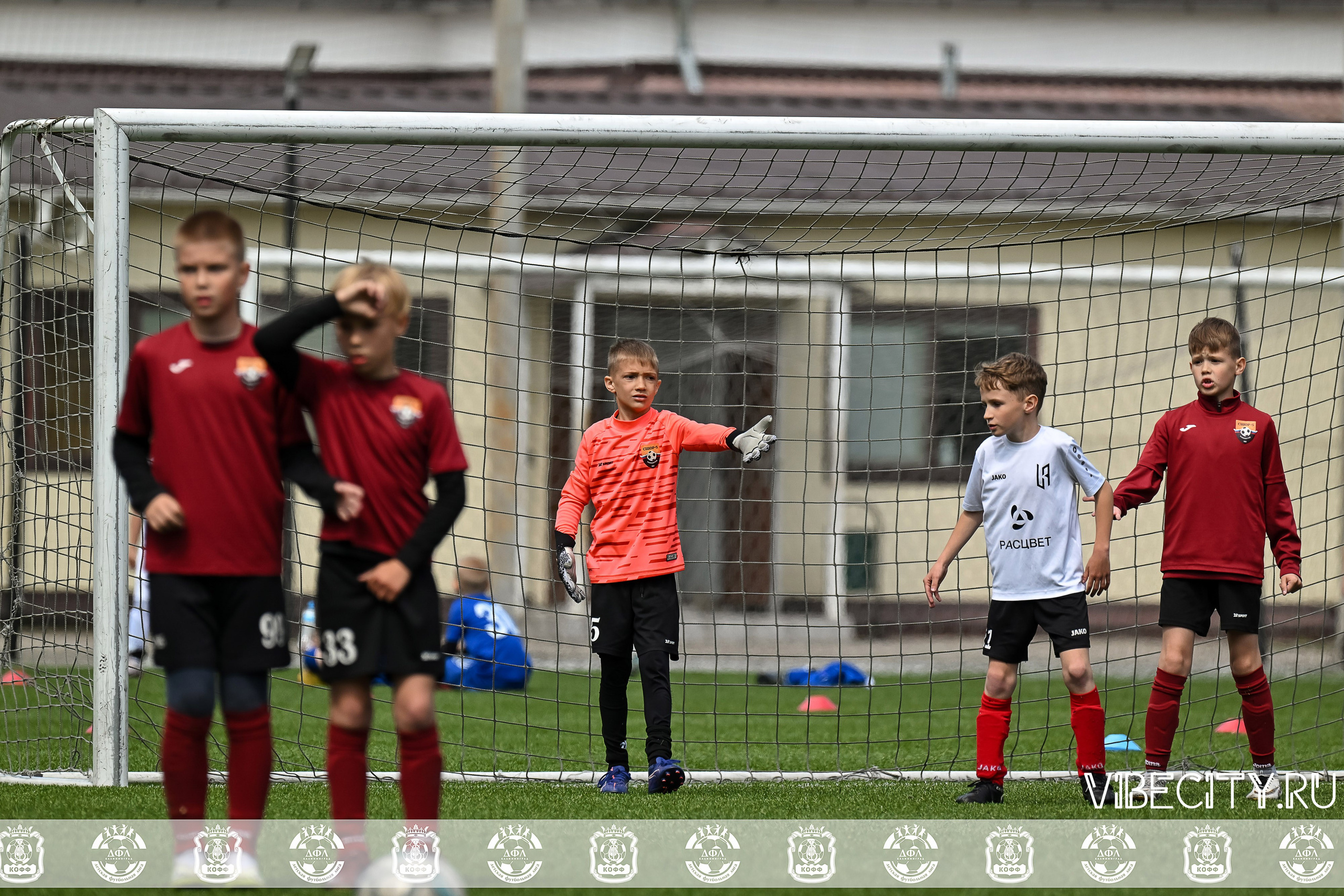 Большие Звезды светят Малым. VIBECITY.RU Вайб Сити Ру Фоторепортажи Фотоотчеты Калининград