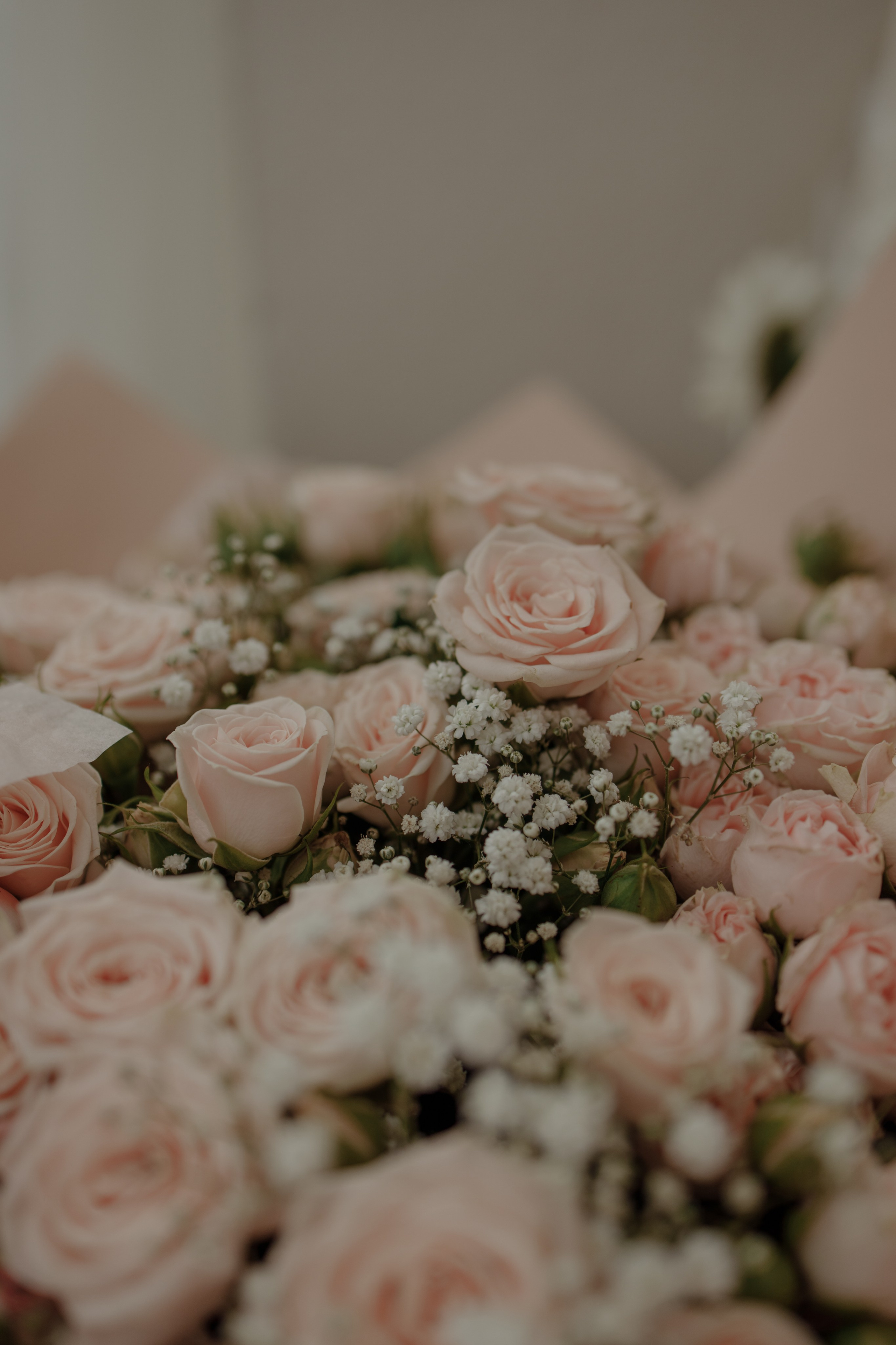 --. Фотограф Пятигорска Кисловодск Домбай Архыз