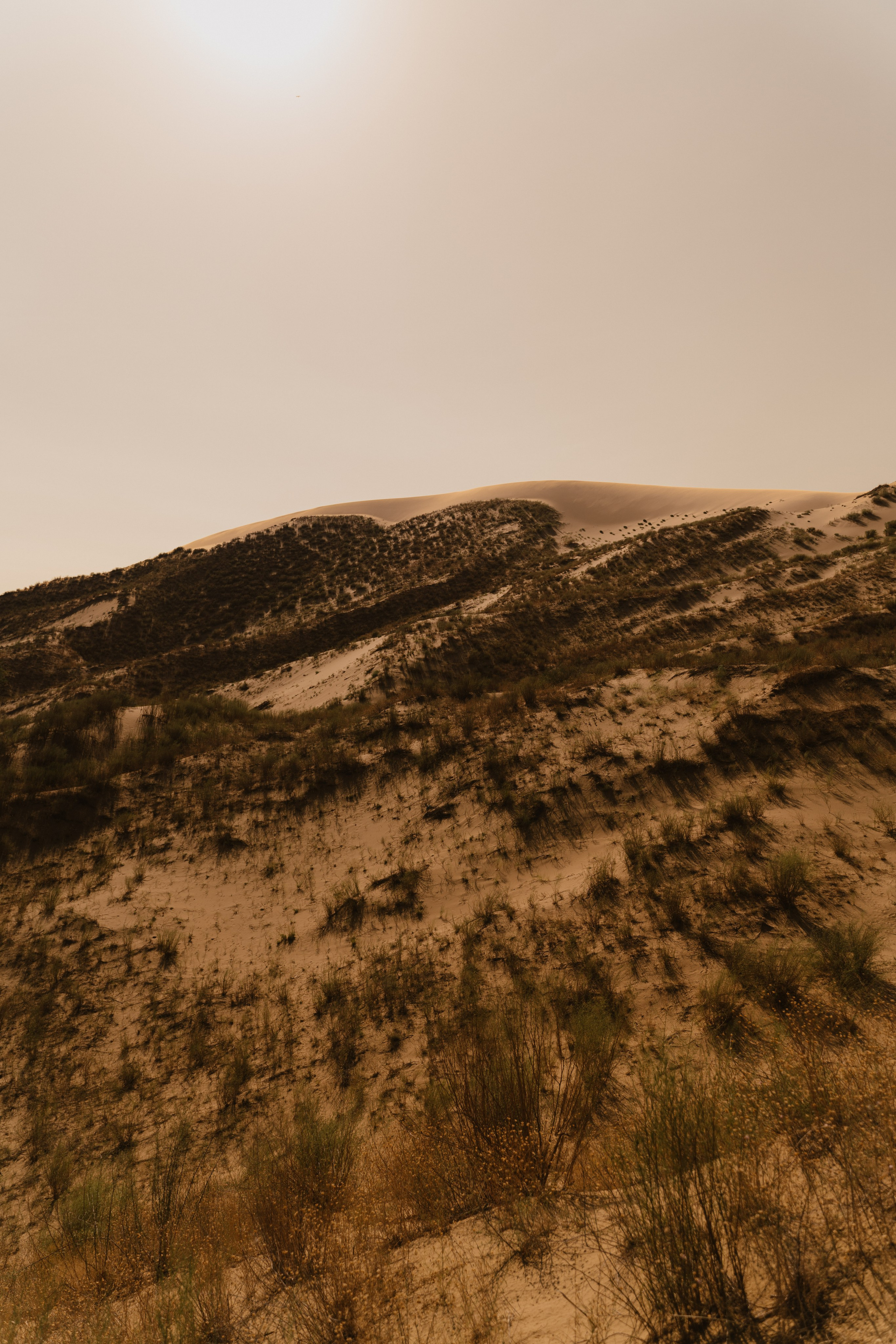 Пейзаж. Фотограф Кантемир Бараов