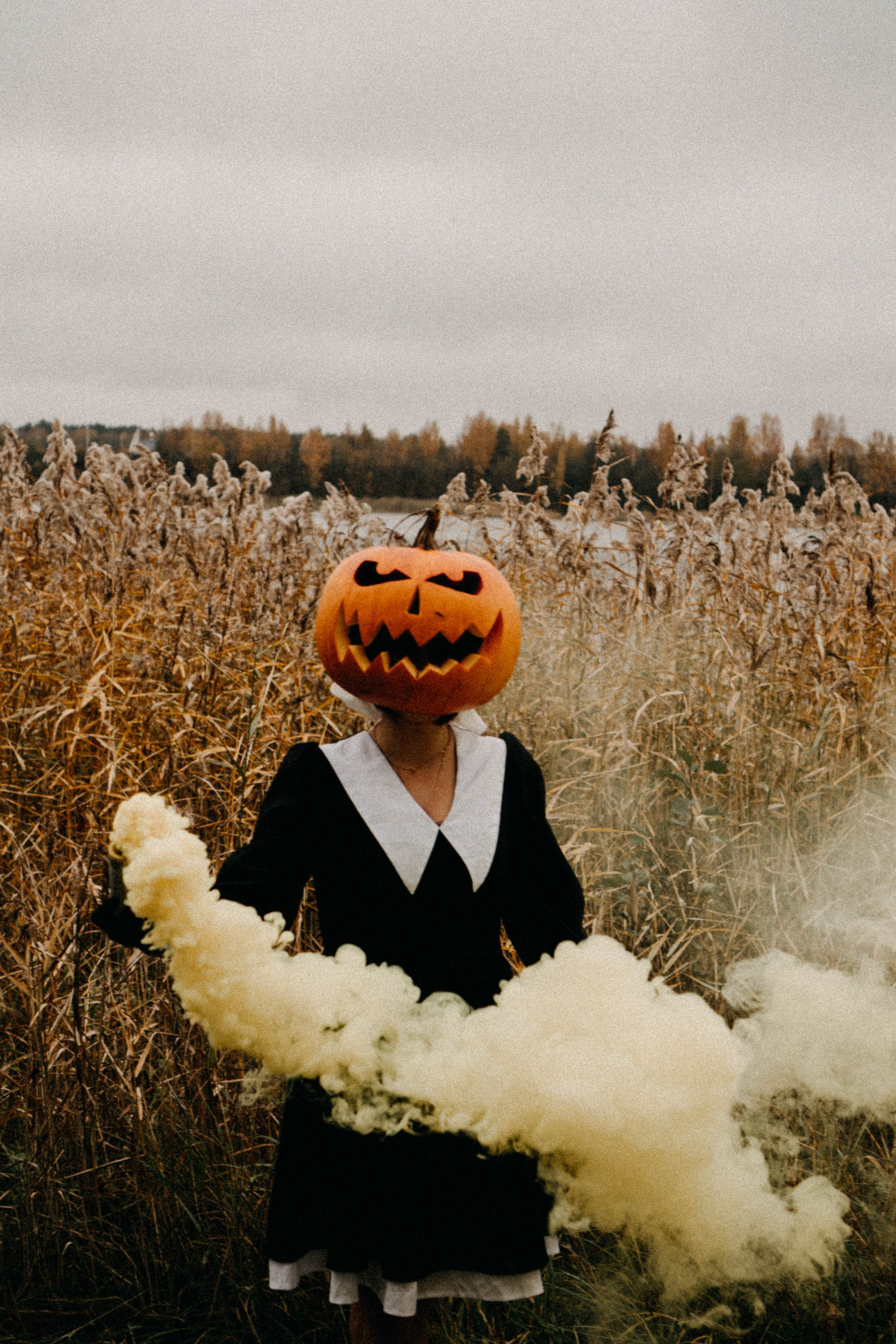 Осеняя. Профессиональный фотограф, Санкт-Петербург — Виктория Богомолова