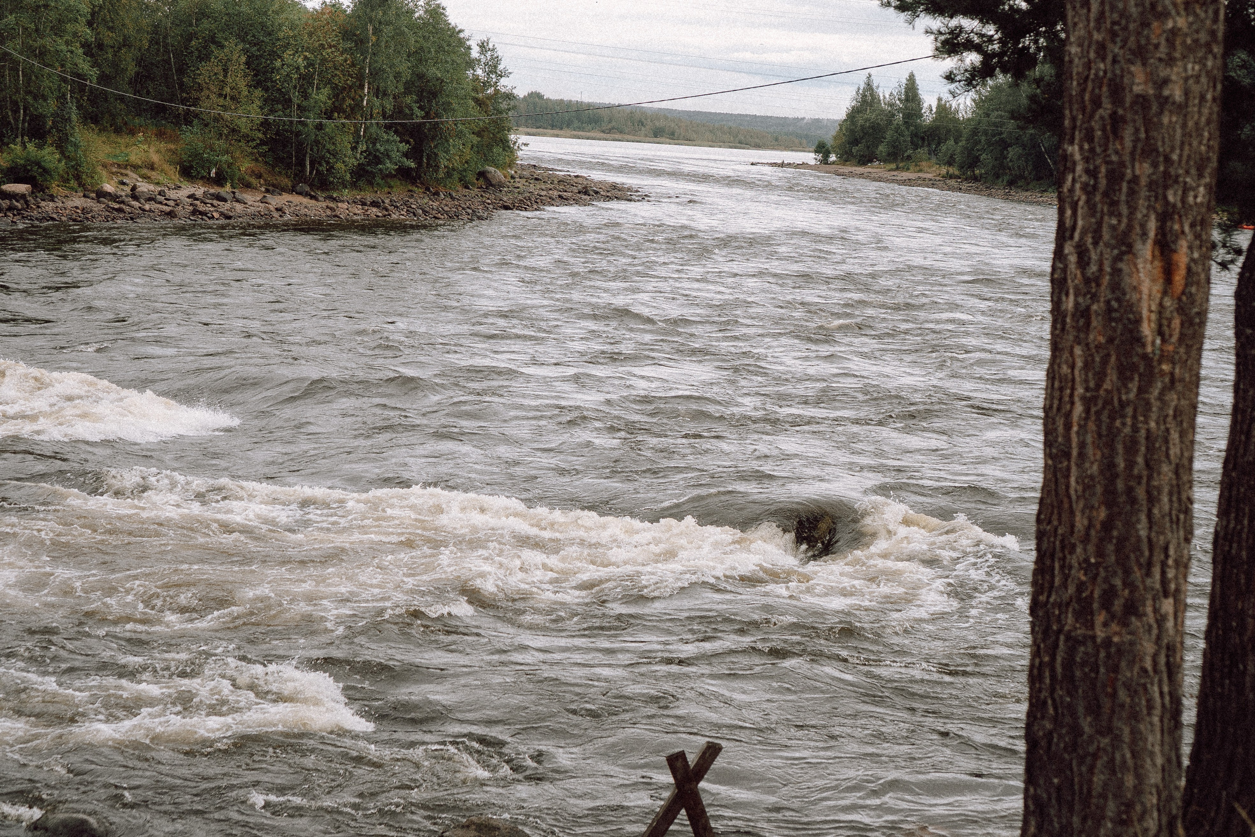 СВАДЕБНАЯ ФОТОСЕССИИЯ ПАРЫ В ГОРОДЕ ПРИОЗЕРСК В СОСНОВОМ ЛЕСУ И С ПИКАПОМ. Профессиональный фотограф, Санкт-Петербург — Виктория Богомолова