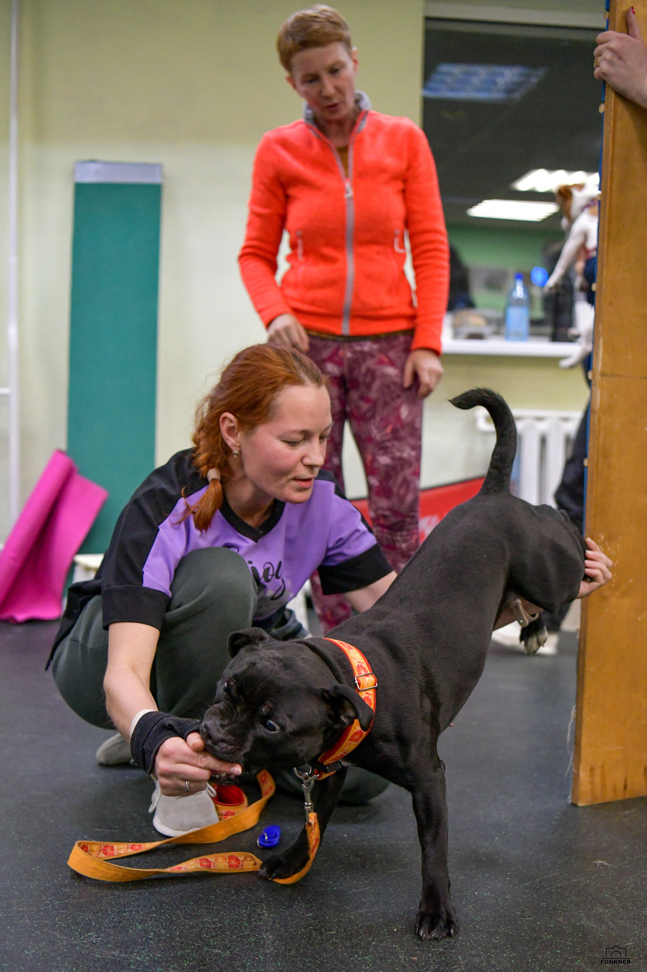 Кинологический клуб «Бодрый хвост». Свой взгляд через объектив