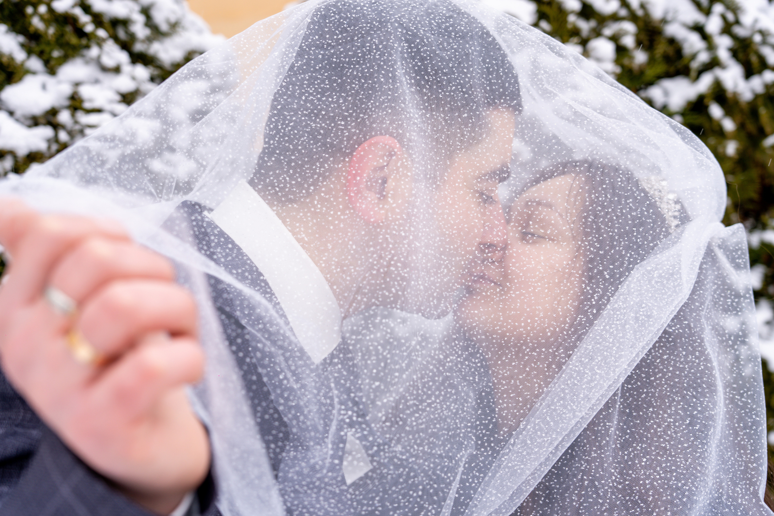 Мгновения любви. Видеограф Алексей Жарков