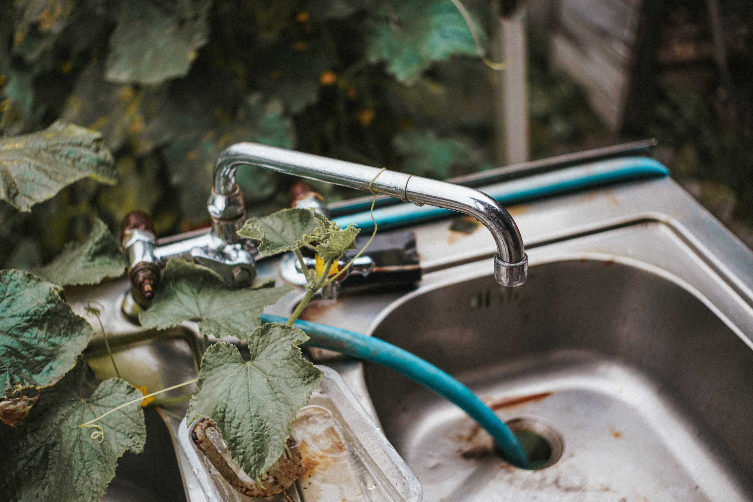 Блог про Верхнюю Балкарию. NECULTURED PHOTOGRAPHER