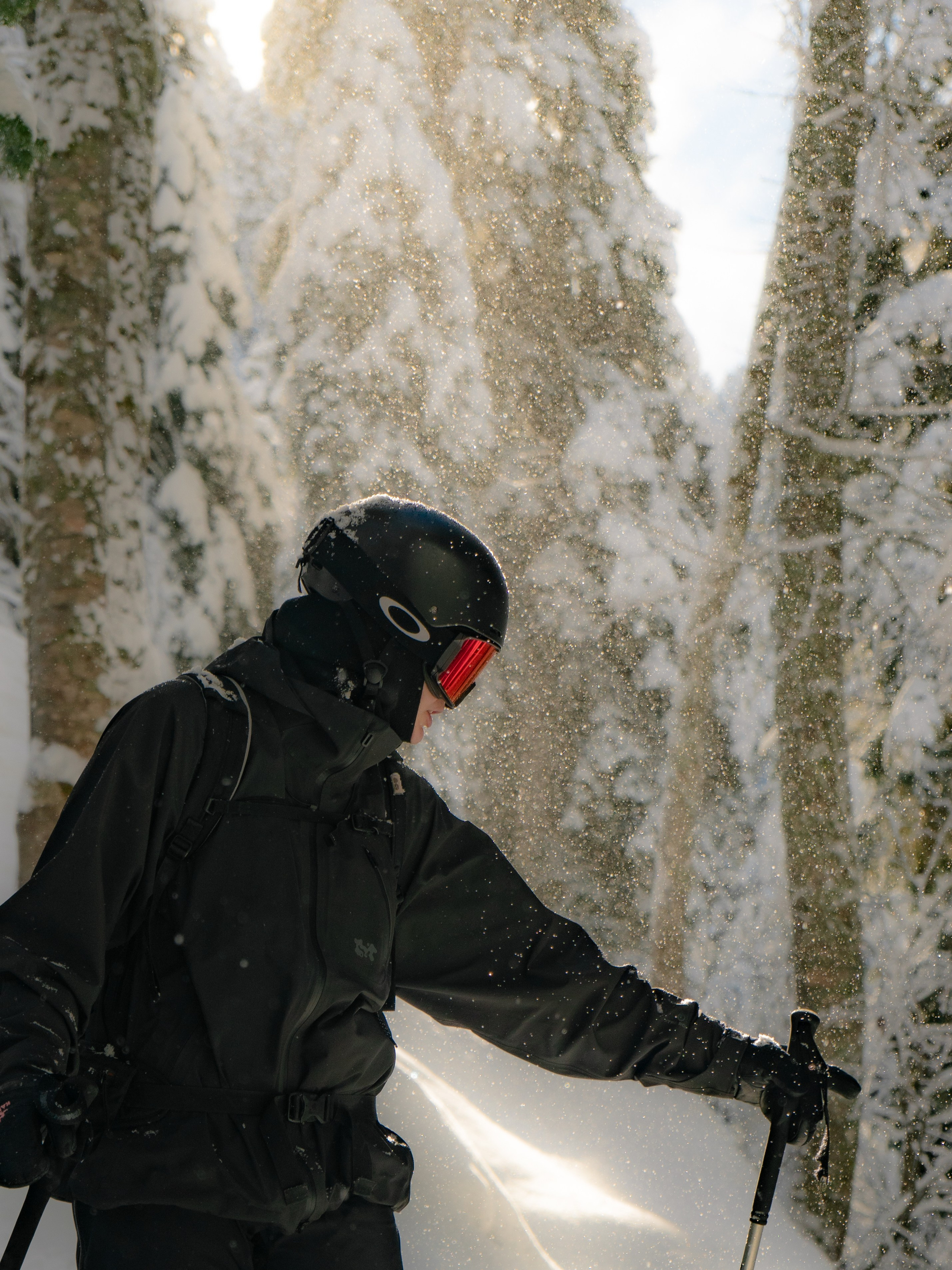 Лыжница в горах с красивым освещением