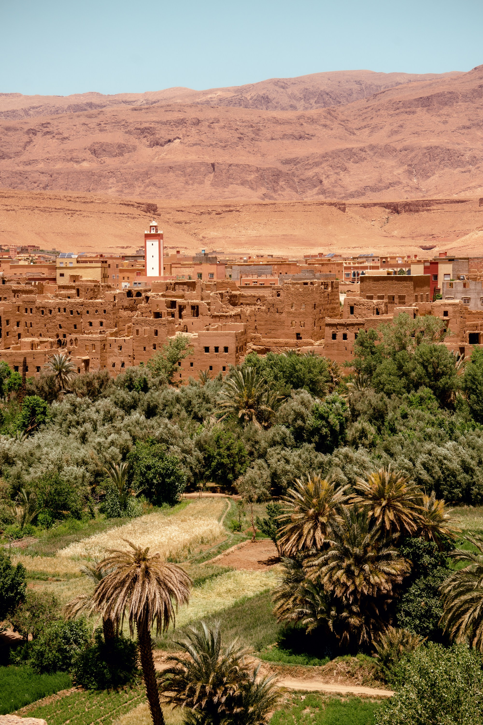 Северная Африка: Тунис, Марокко. Фотограф в Хабаровске. Фотография за 24 часа