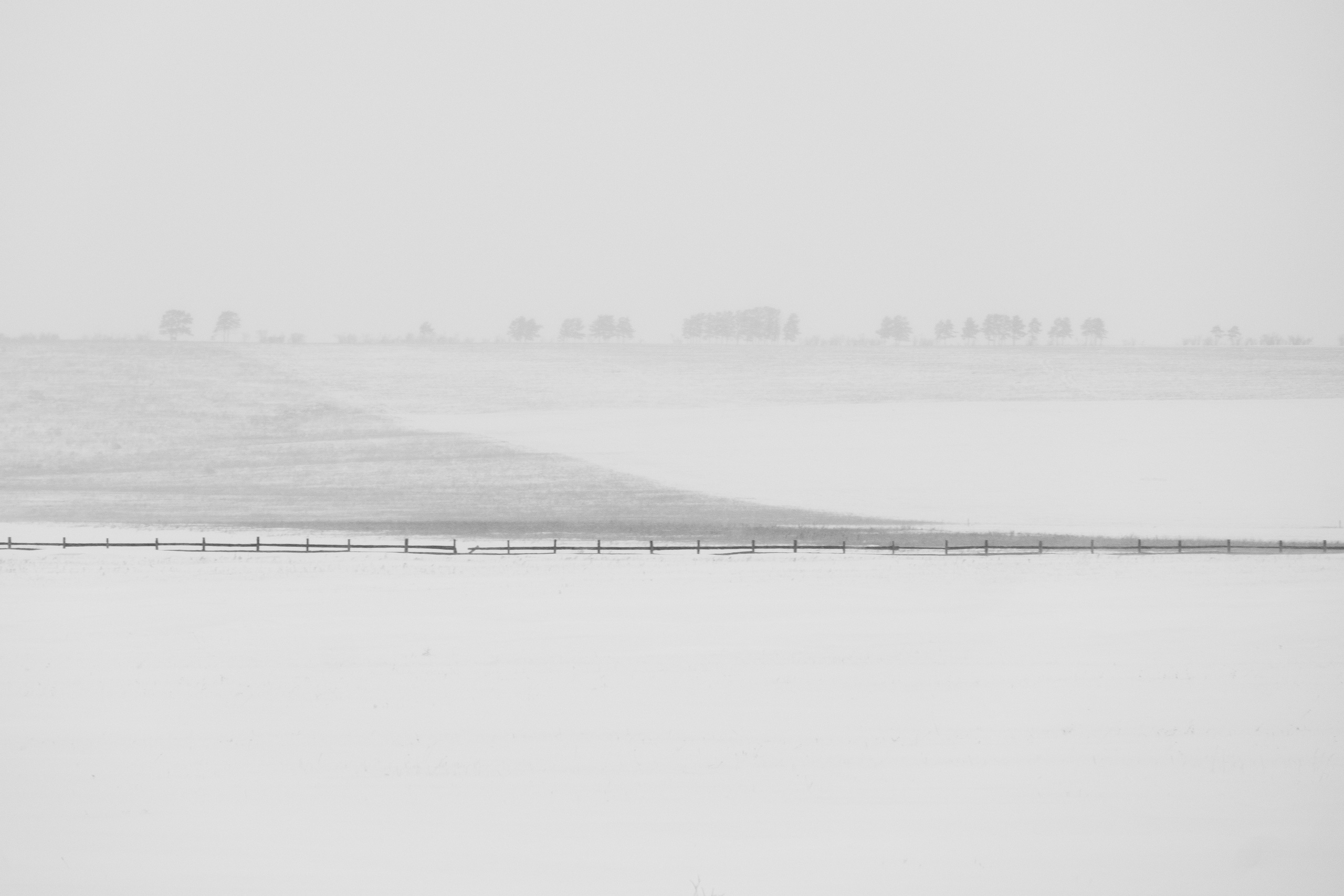 Silence. Irina Borodina