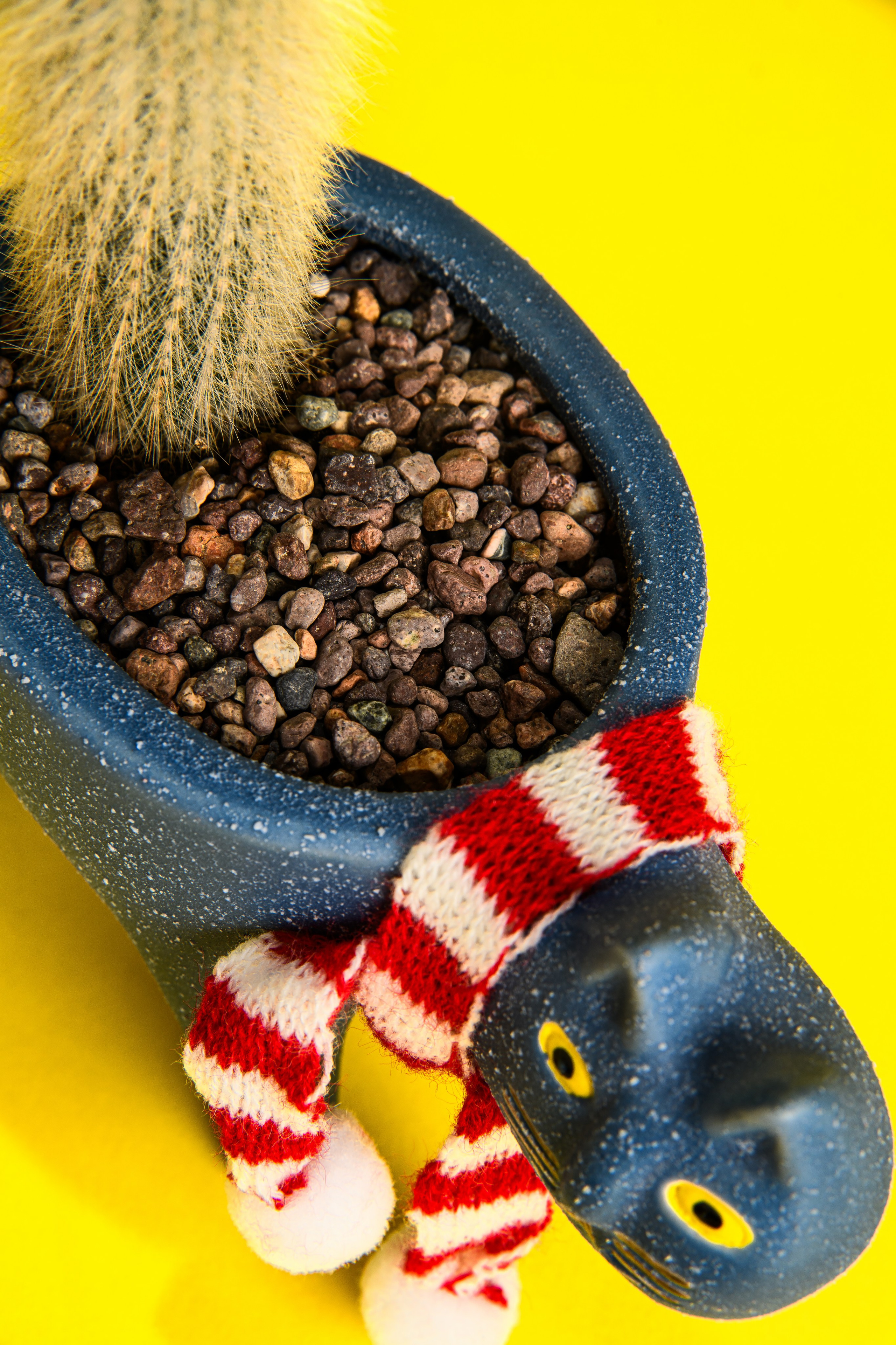 KAKTUS.KZ. Фотограф в Алматы Артемий Матюнин