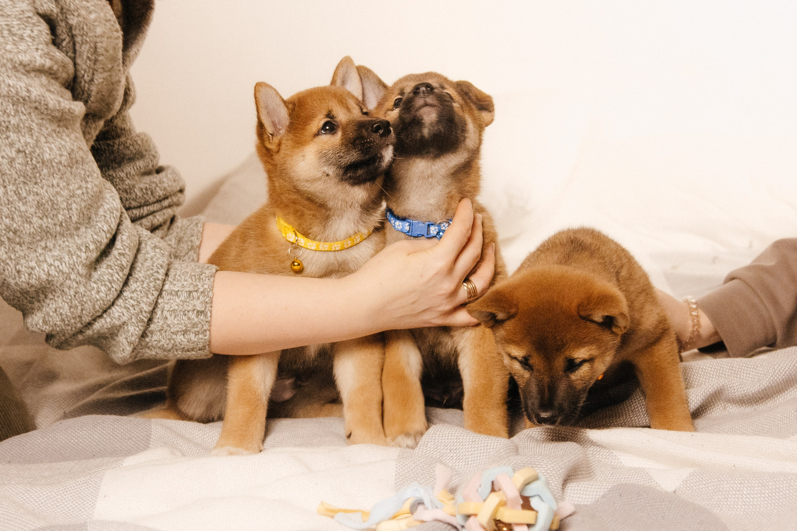 LOVE. Семейный фотограф Казань Никита Федин