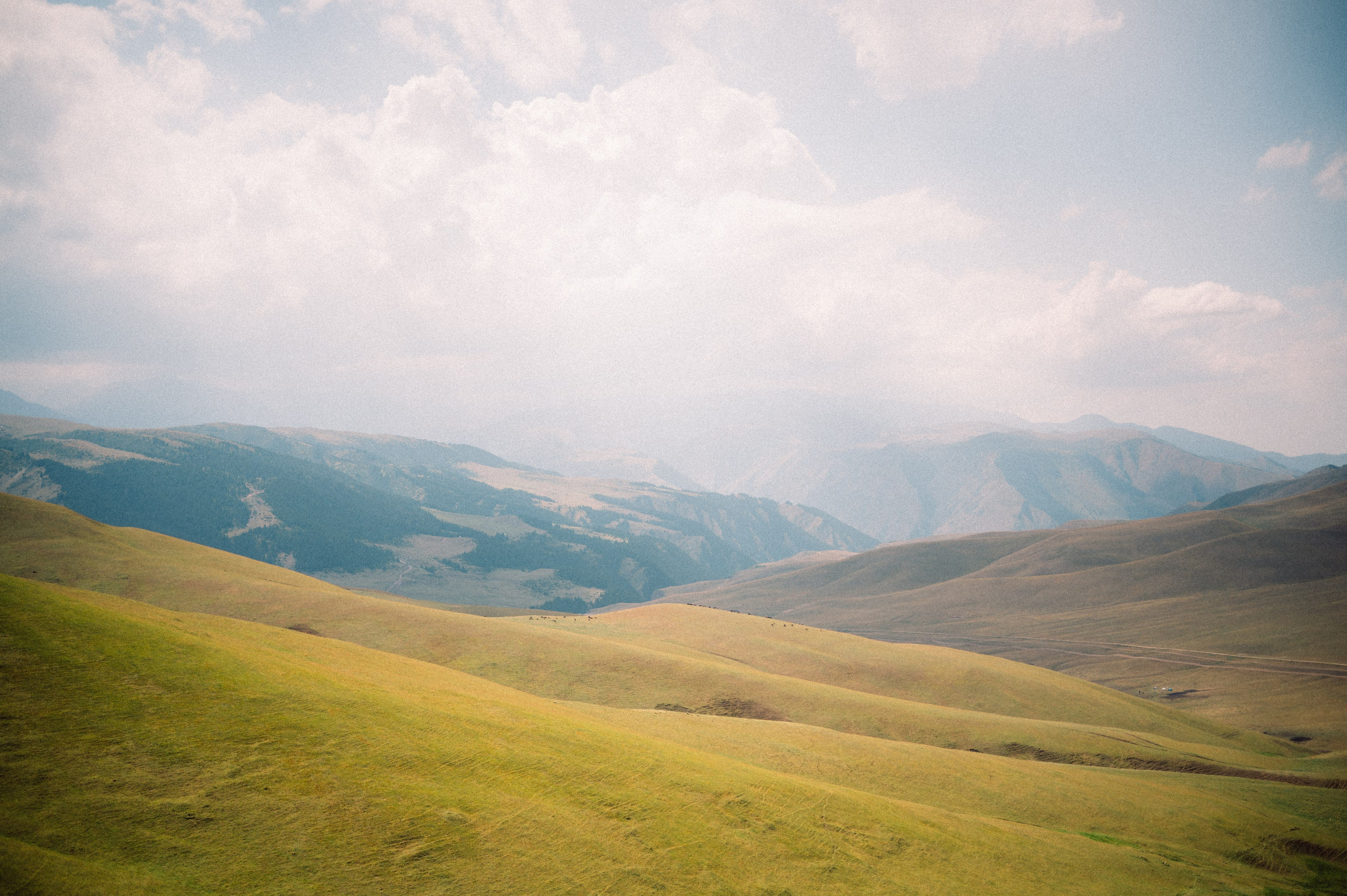 Плато Ассы: июль 2025. Фотограф в Алматы — Дарья Фёдорова