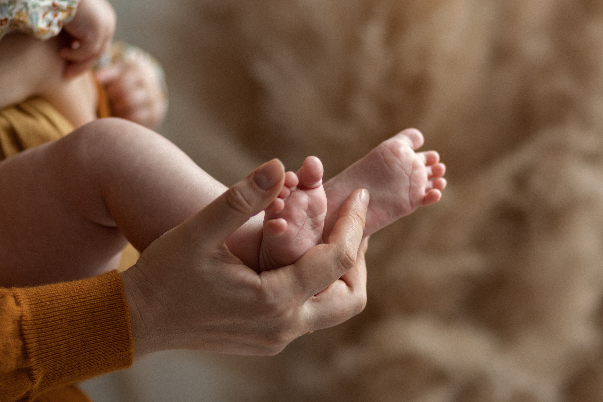 Екатерина. Полудницына Эльвира фотограф в Москве
