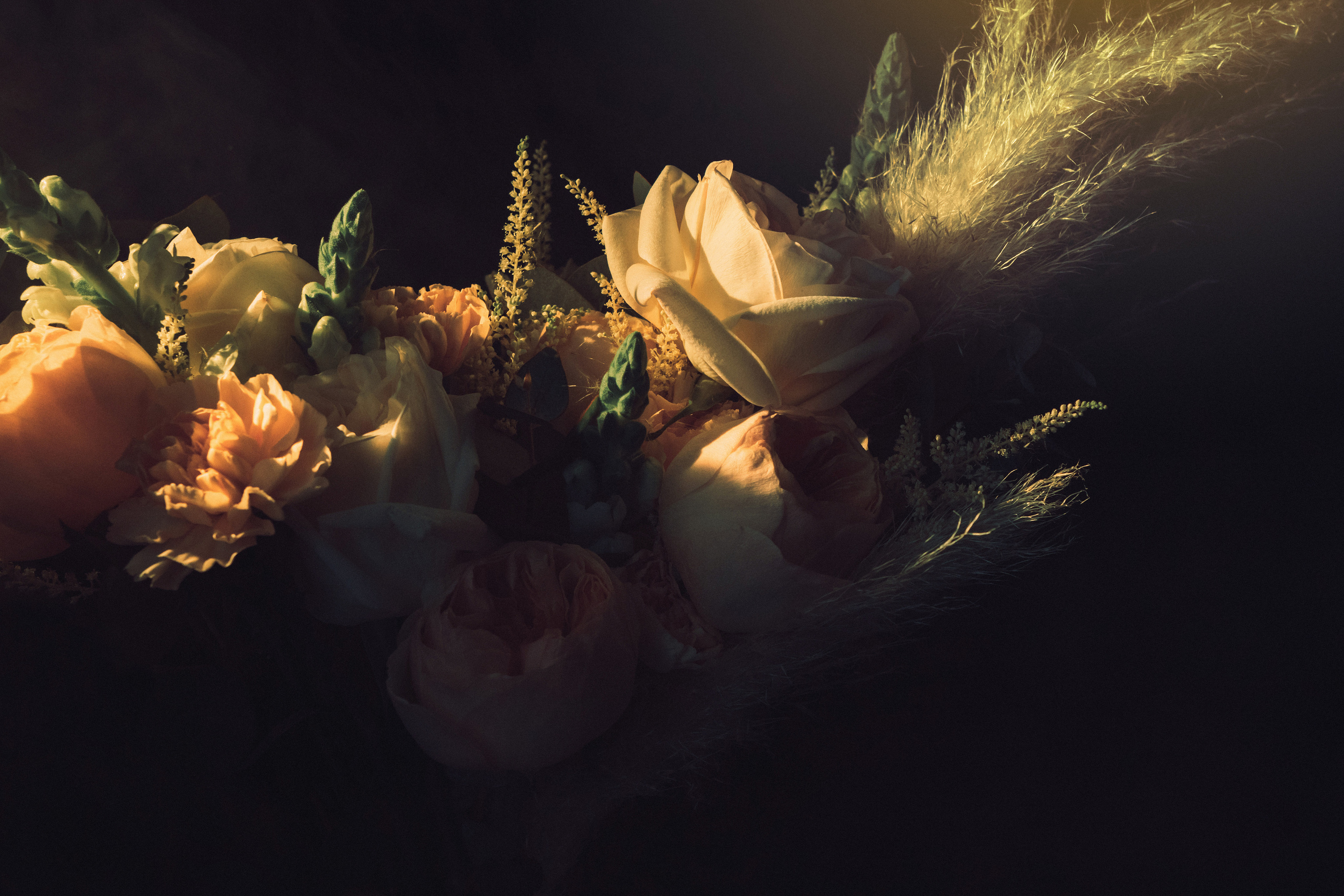 Федор и Марина. Полудницына Эльвира фотограф в Москве