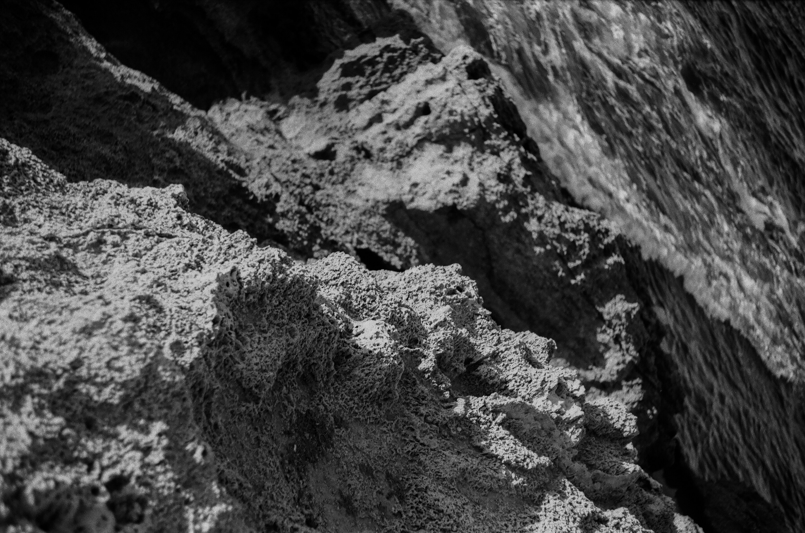 Israel 2025. Свадебный и портретный фотограф в Санкт-Петербурге