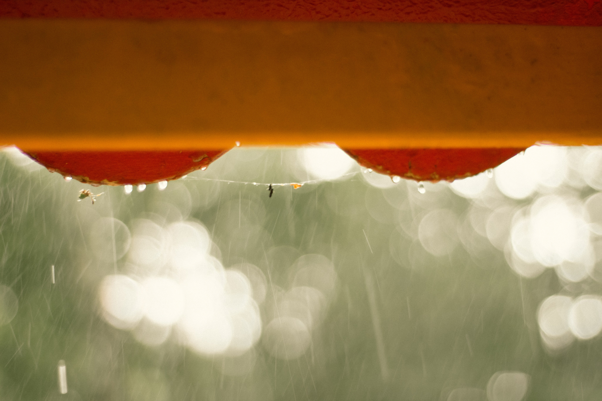 Семейная фотосессия. Фотограф Соня с Земли