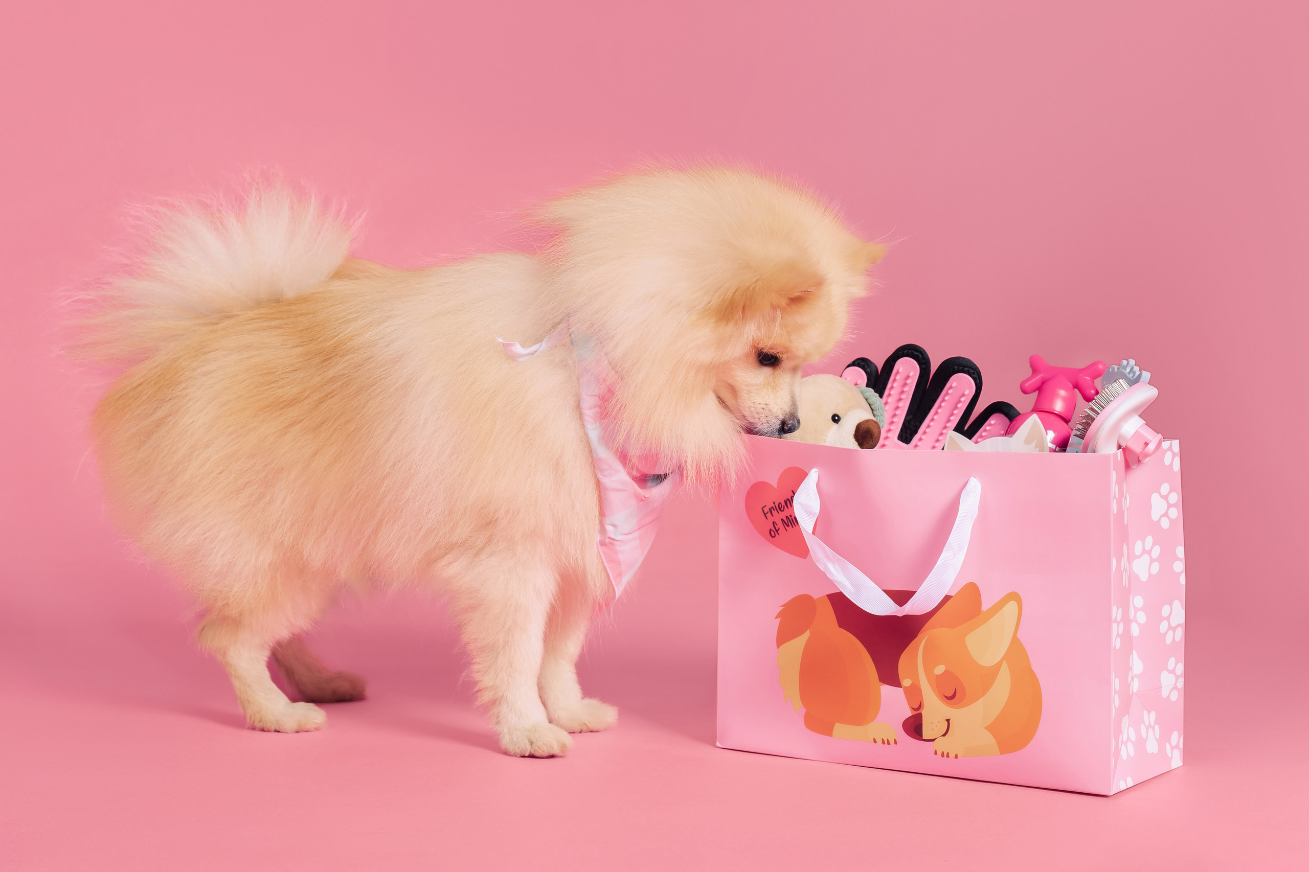 Магазин Friend of mine. Фотограф-анималист Елена Радченко, Москва