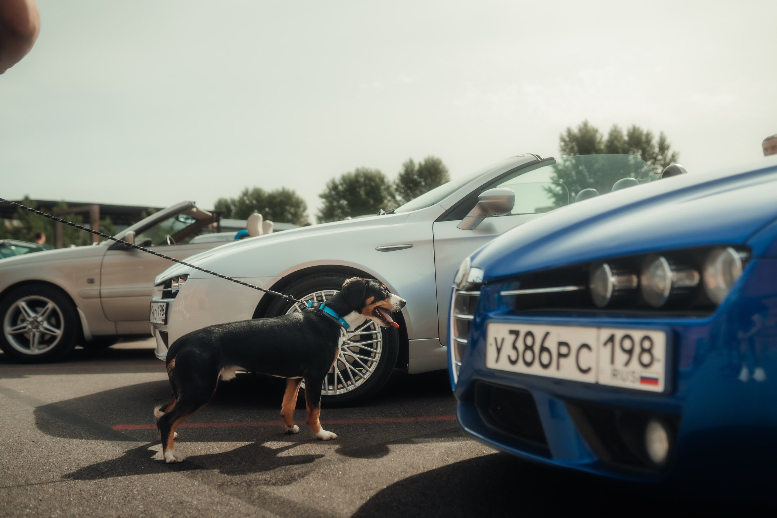 Cars and Coffee 22/08/26. Автомобильный фотограф Антон Цырулев