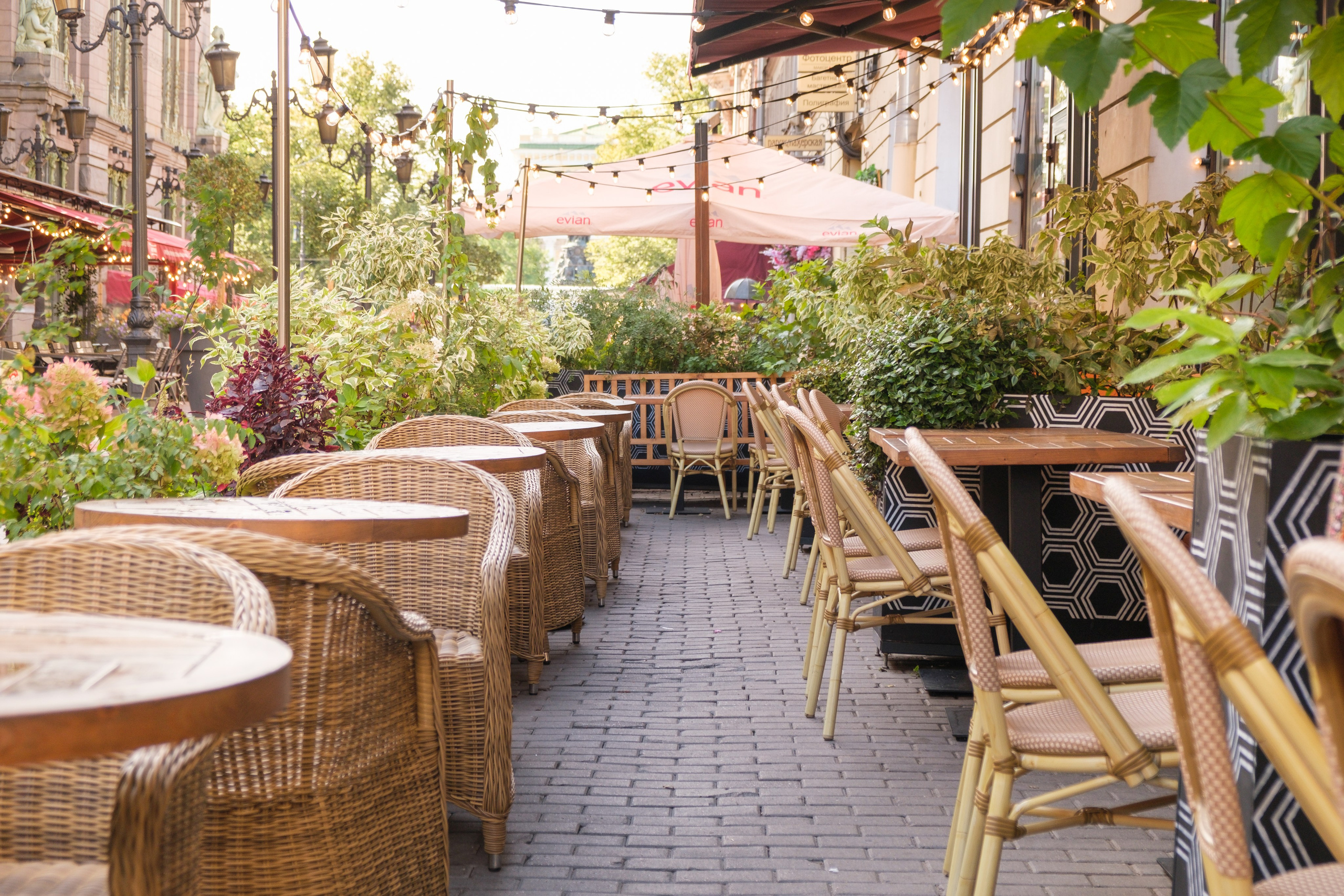 Озеленение