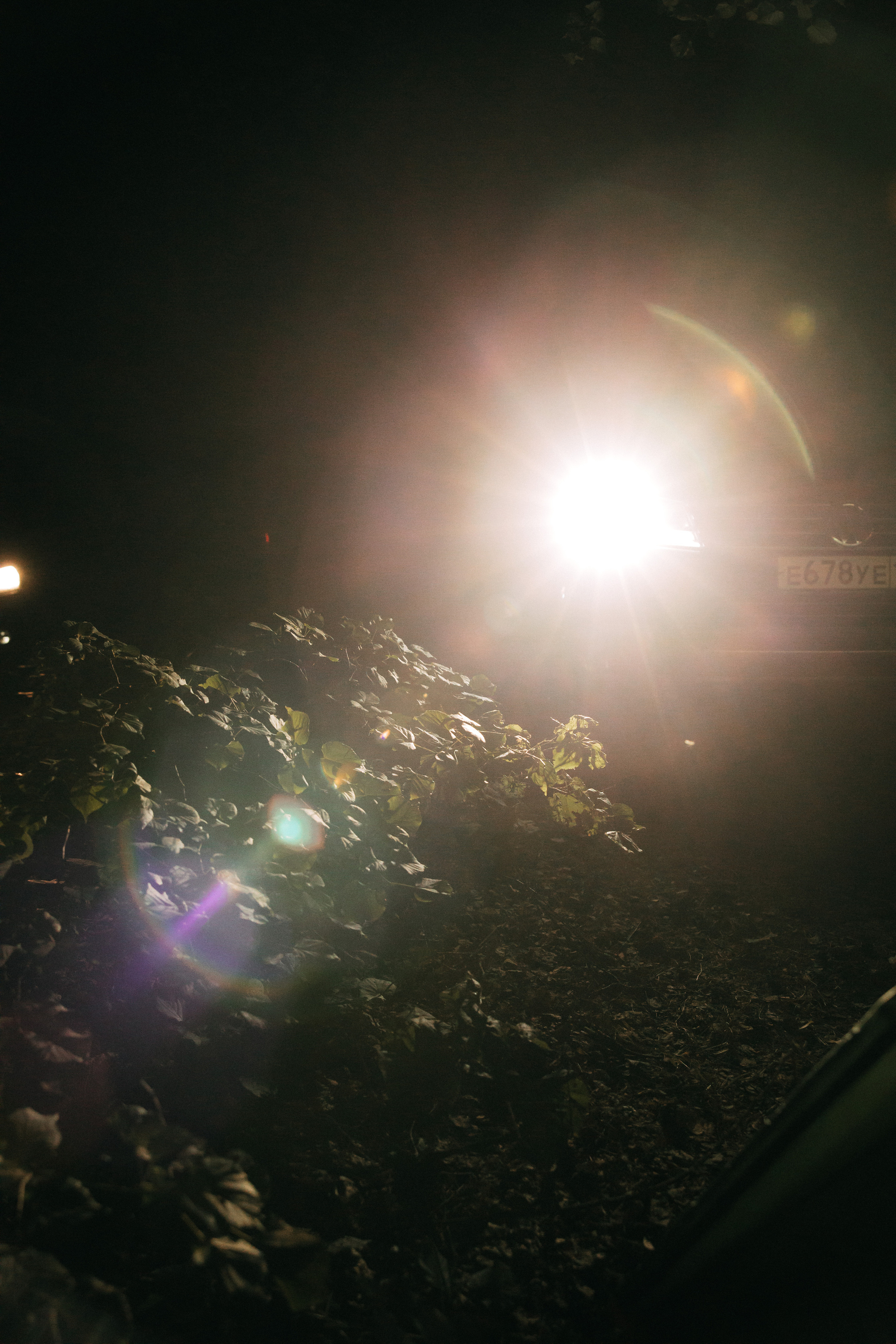 Отдых с семьёй. Увильды. Свадебный и семейный фотограф Анна Печенкина