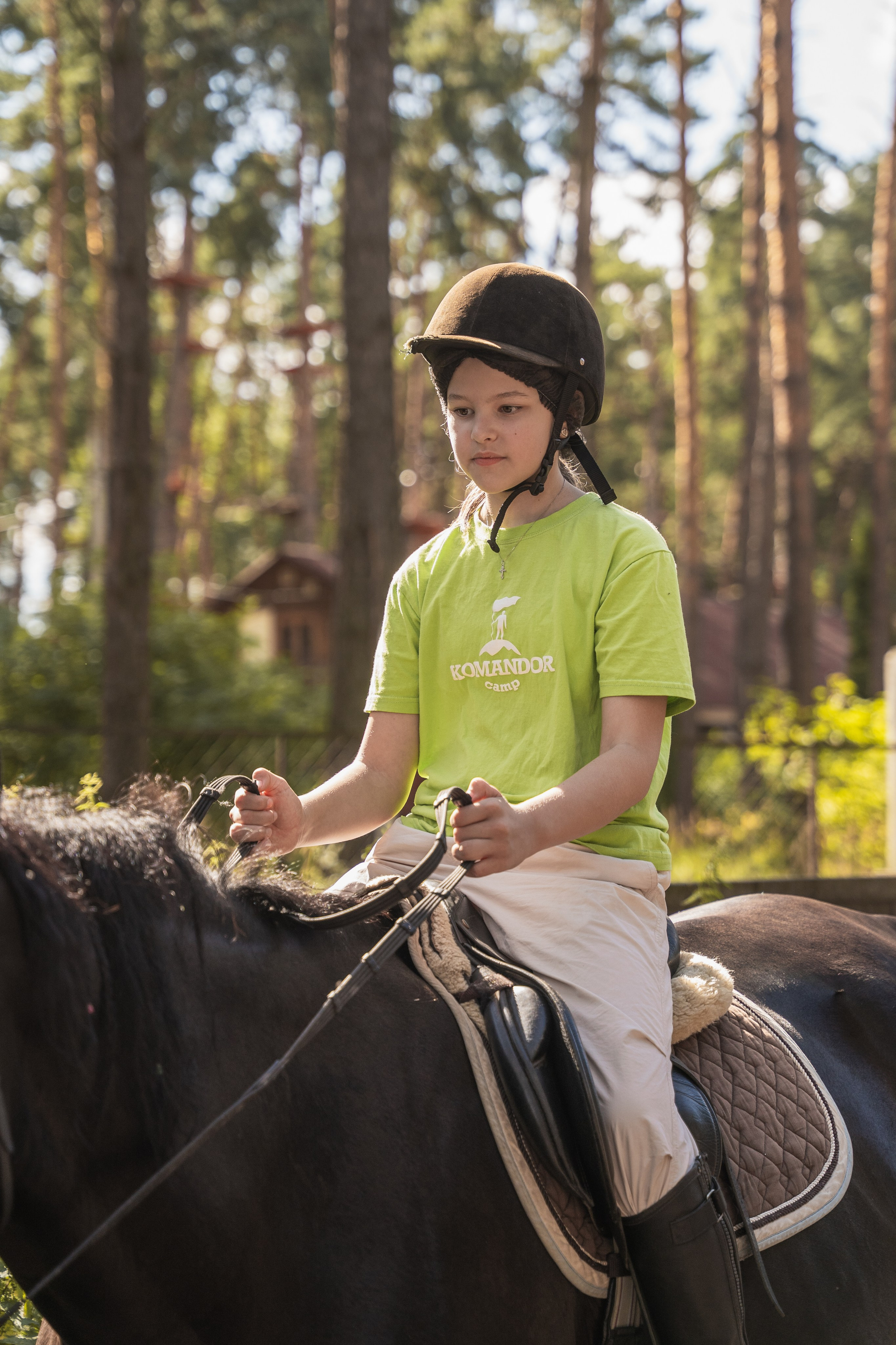 Конное занятие. Главная
