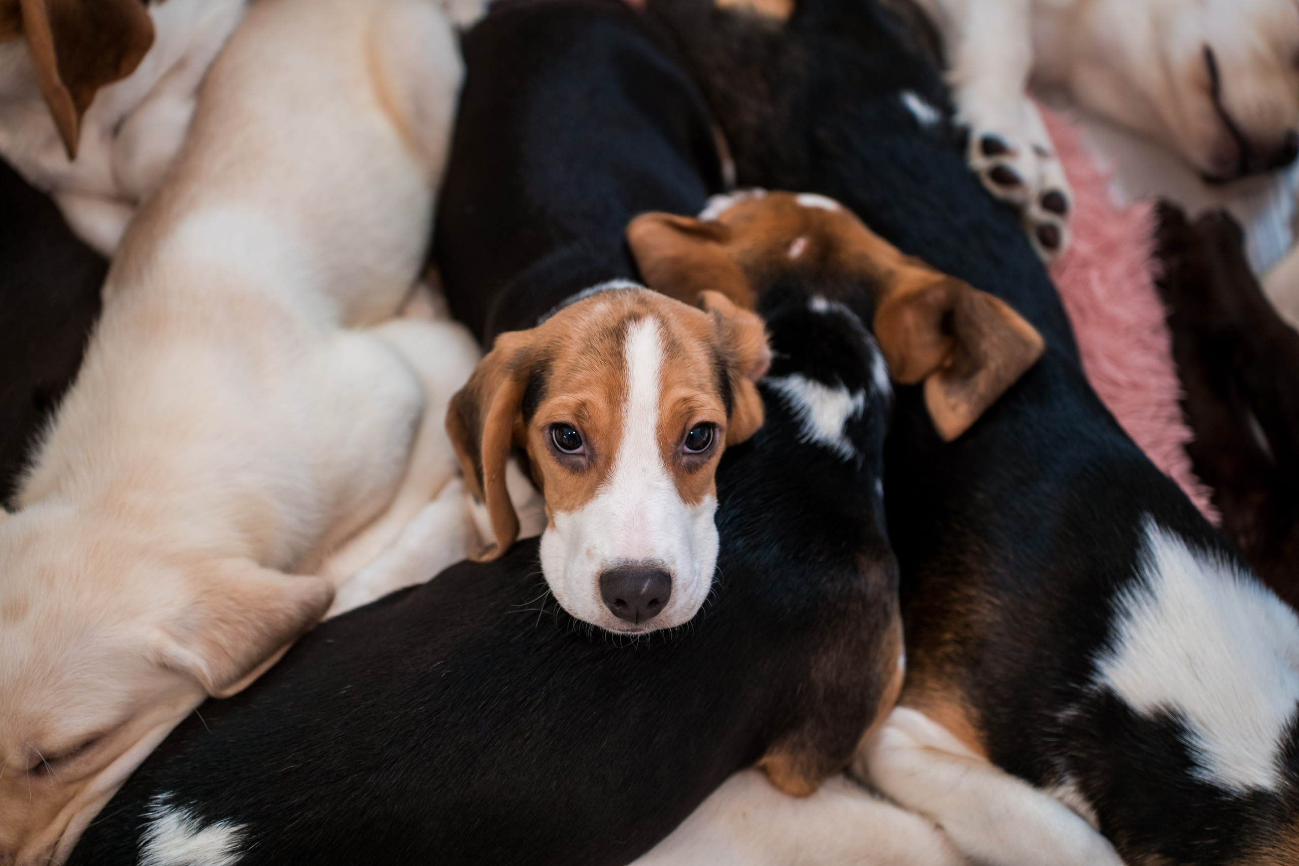 Репортаж мероприятий. Главная