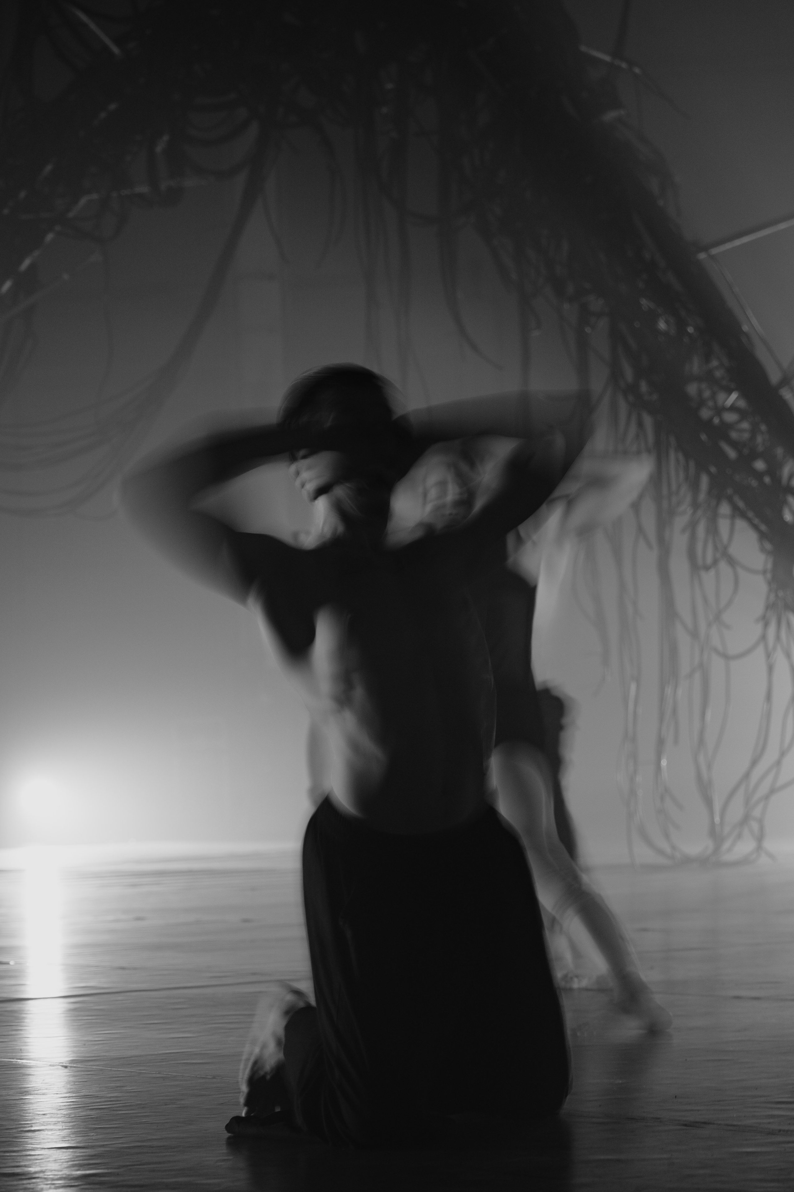 PERFORMA, The Hour of the Horse. @tomrus: Рустам Шагиморданов — фотограф