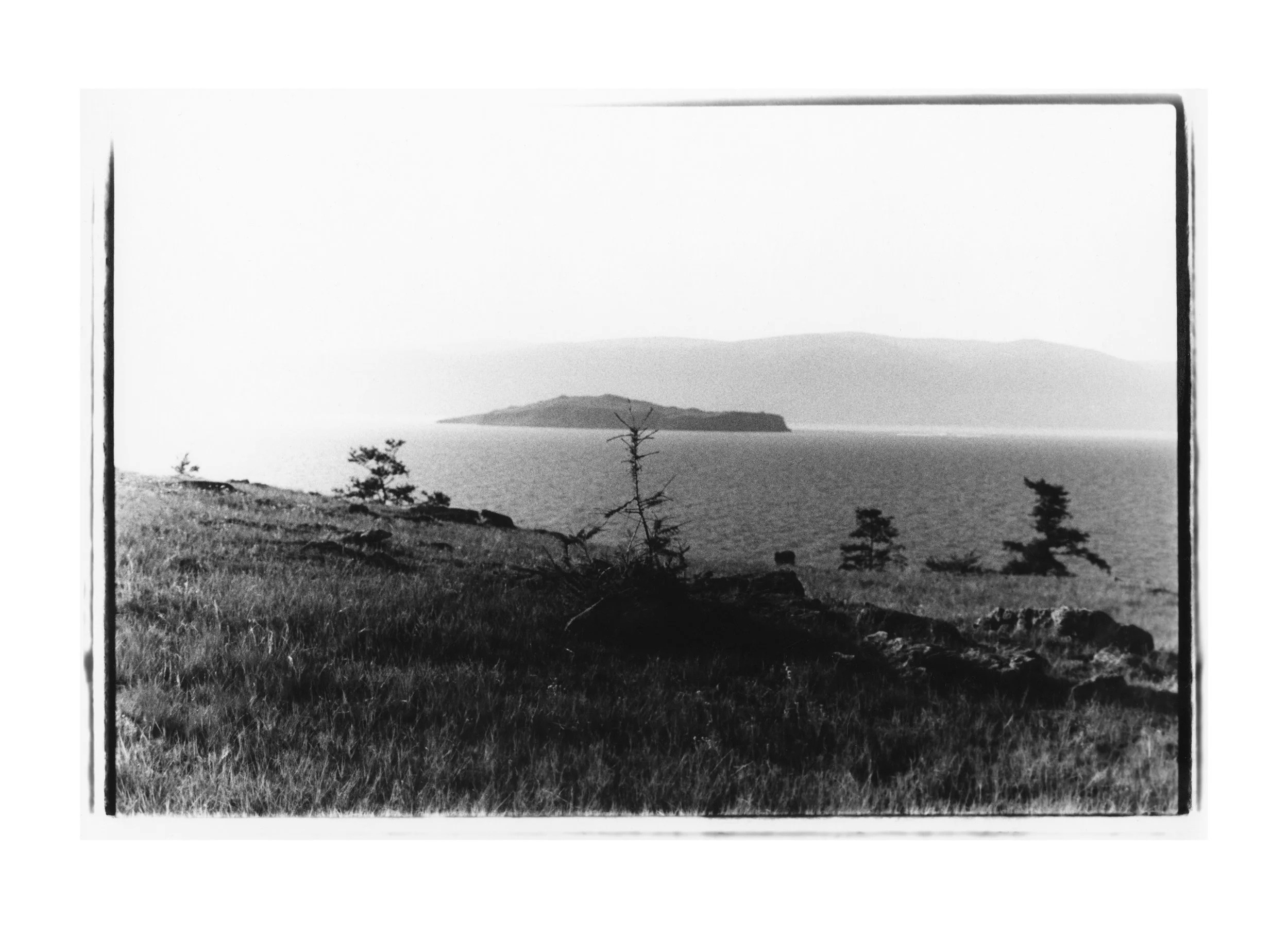 Проект Маргариты Галандиной «Ovoo». Private image