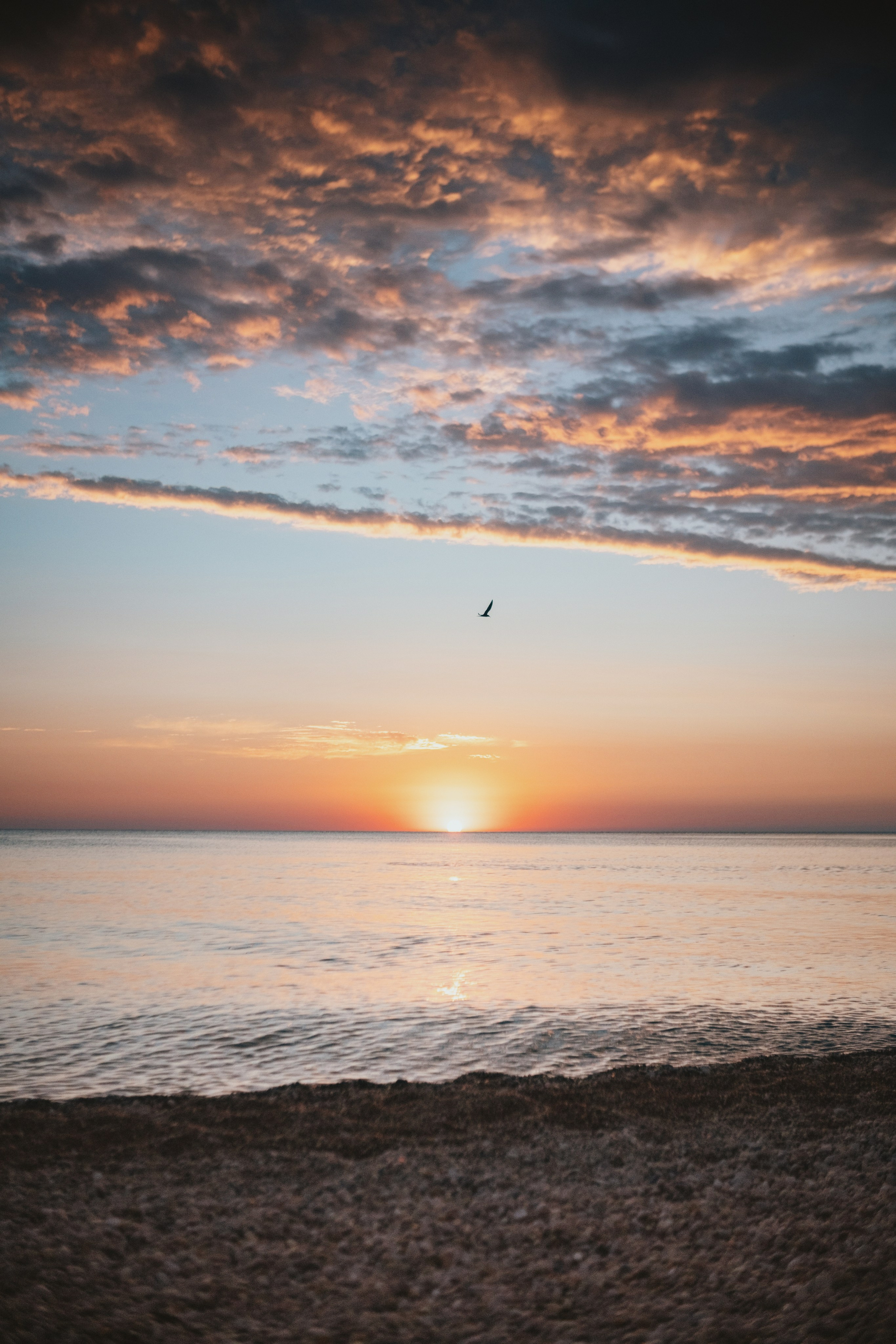 Репортаж. Kunchiy_