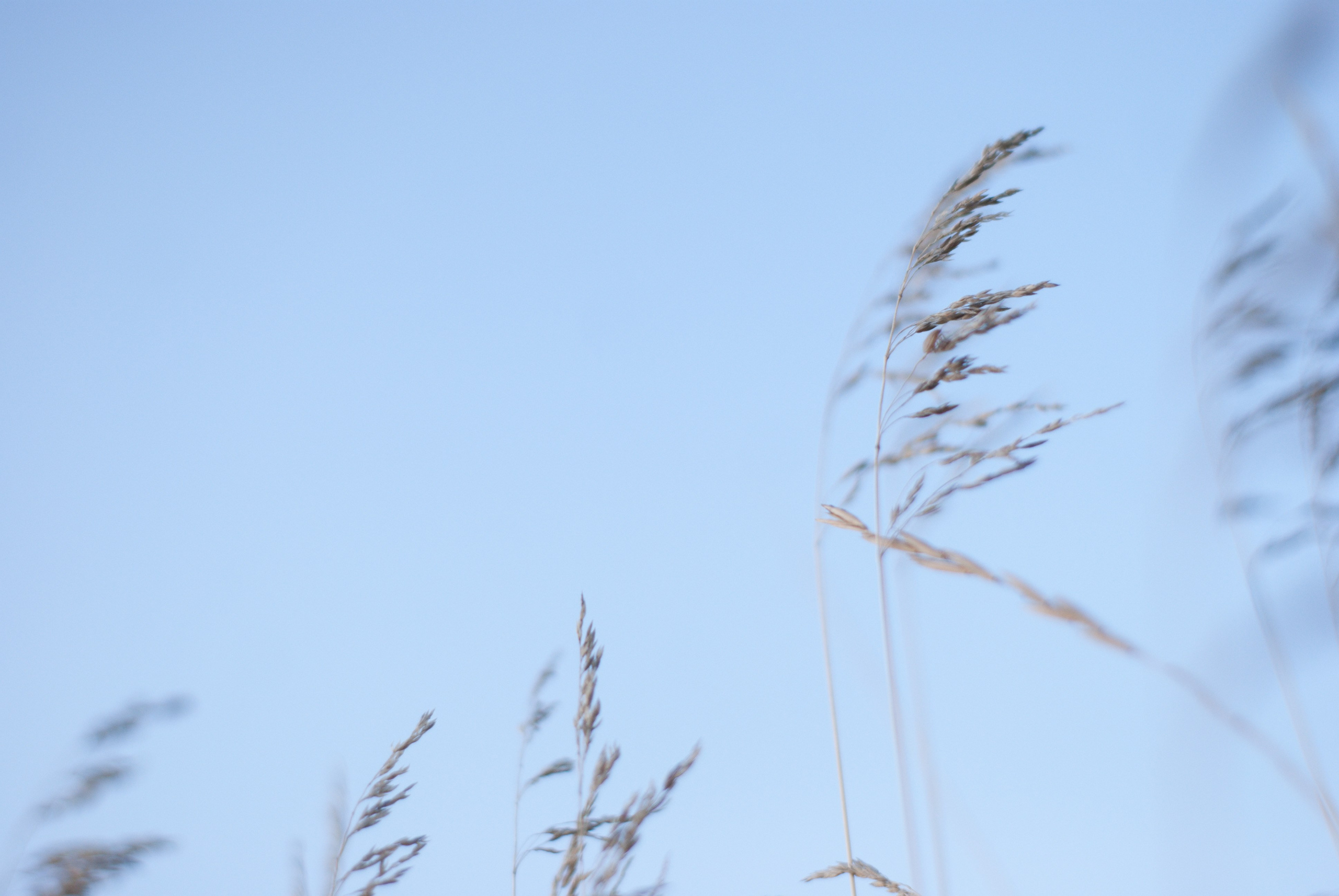 Этот прекрасный мир