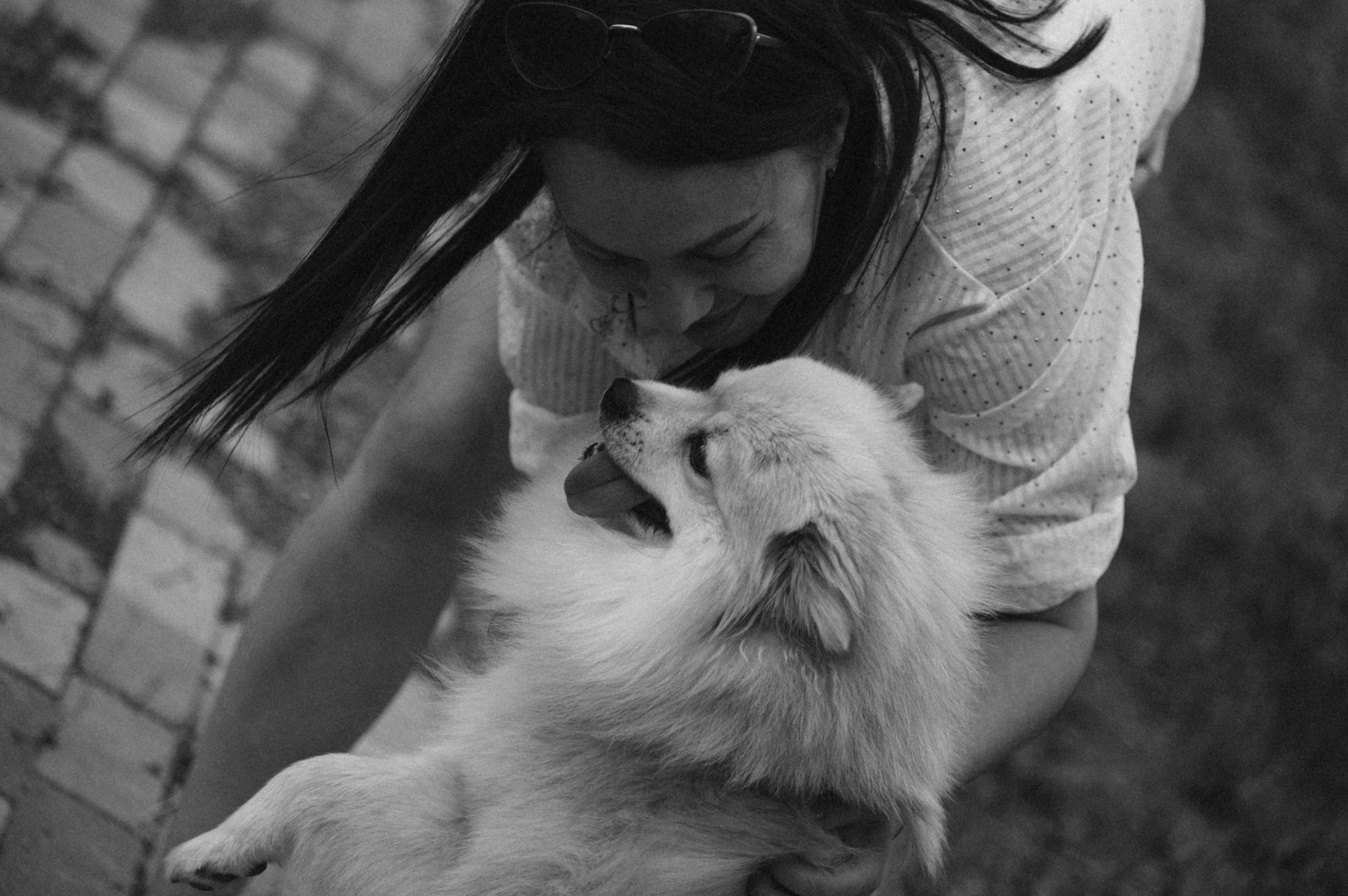 Любовь к животным. Мариуполь фото. Фотограф Мариуполь.Индивидуальные съёмки. Детские, семейные, коммерческие