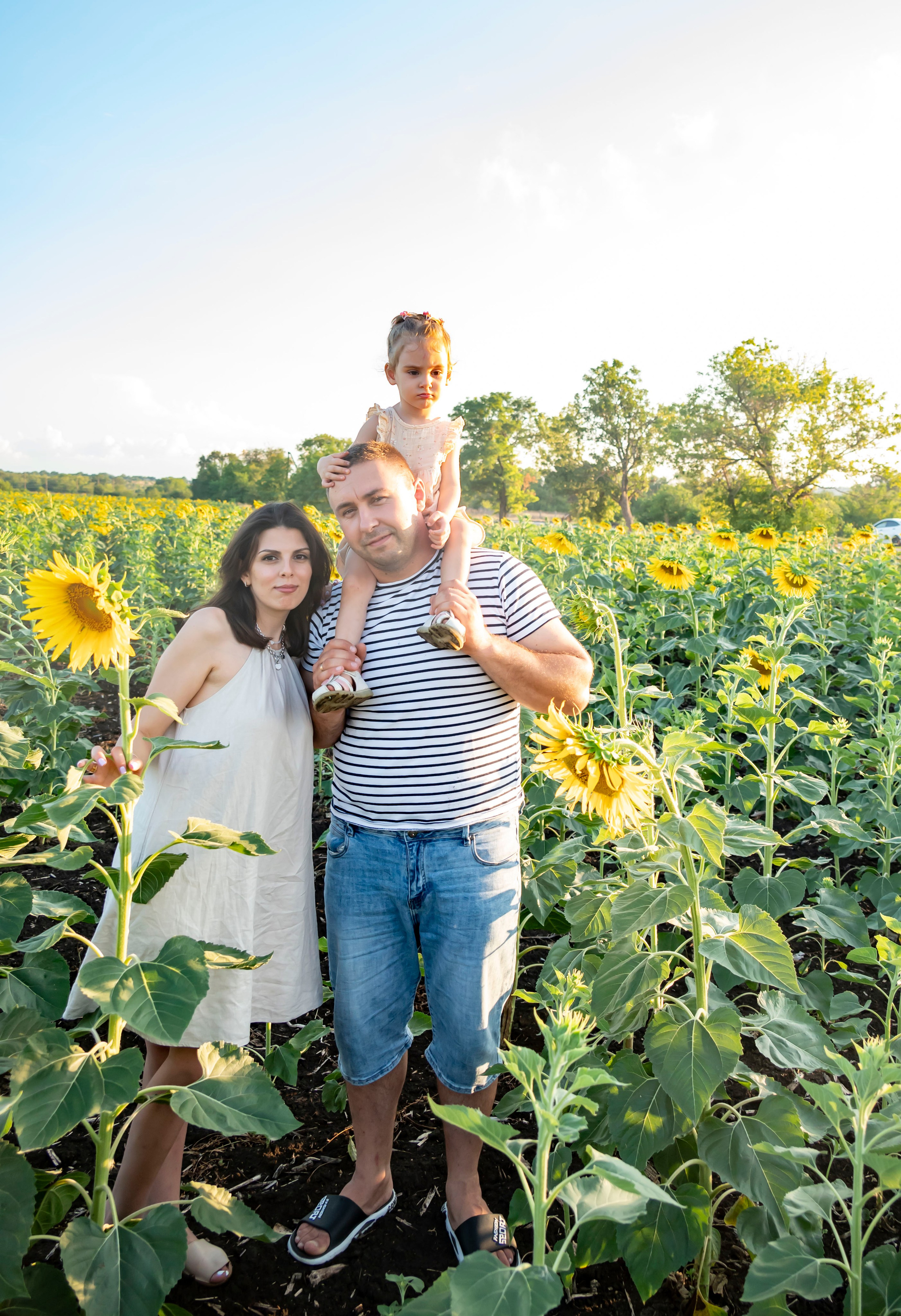 Летняя прогулка. Главная