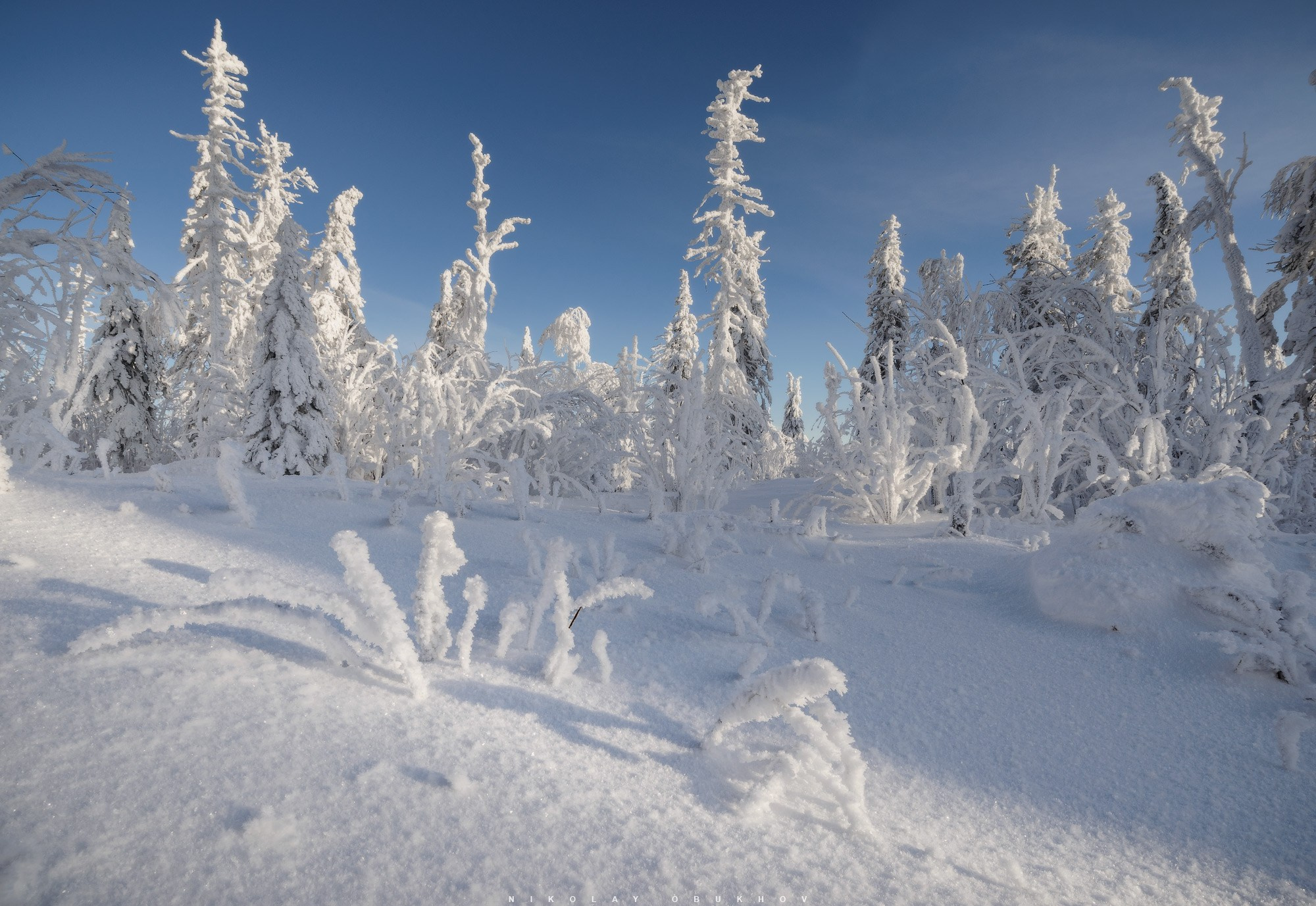 Зимний заснеженный лес на горе Белая в Свердловской области.