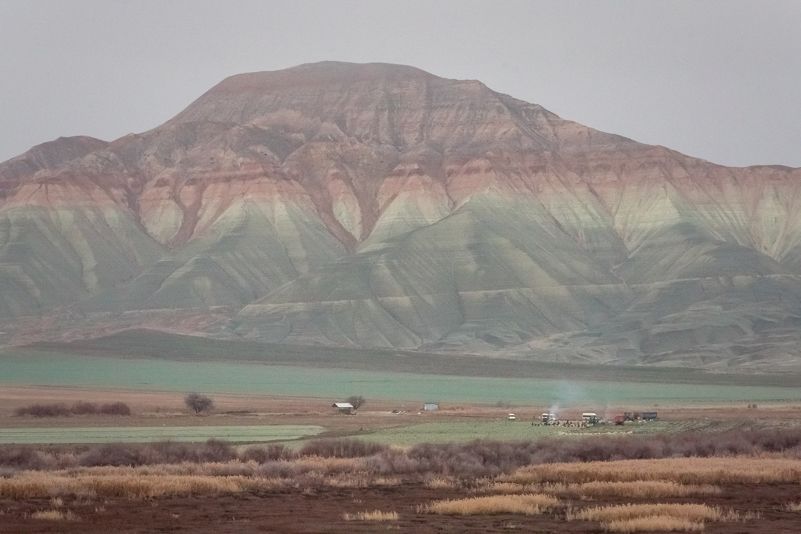 Турция, Птичий заповедник Наллихан. Юля Дэй • Фотограф, Санкт-Петербург