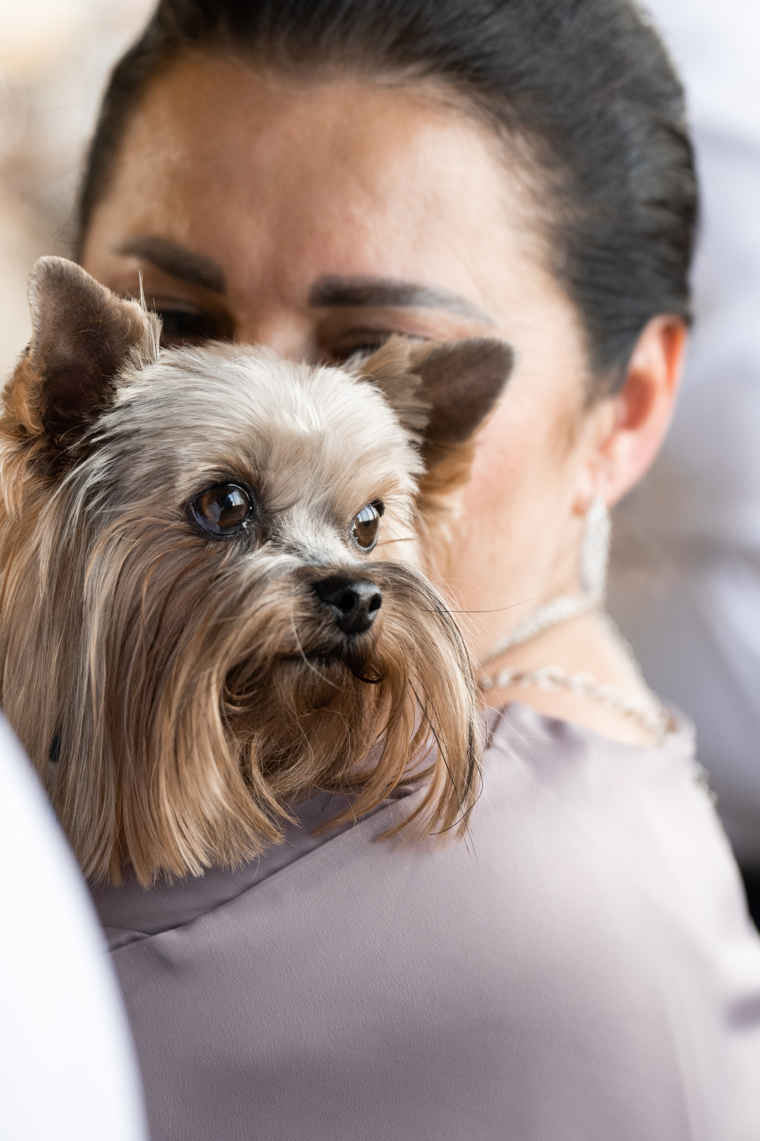 2024. Дима и Маша. Свадебный и семейный фотограф в Москве и Европе Евгения Амелина