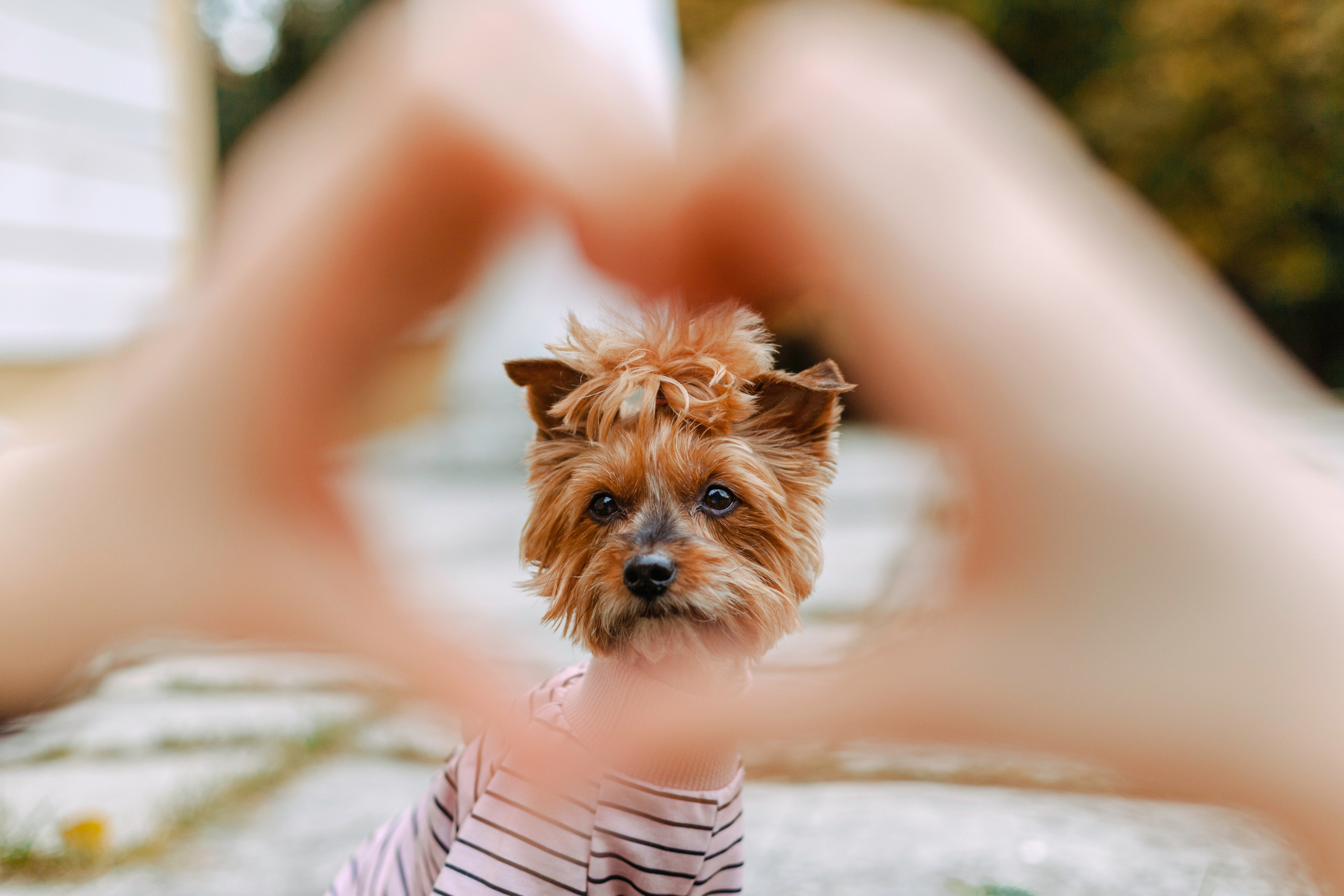 Катя и Моня. Фотограф-анималист Татьяна Степанова