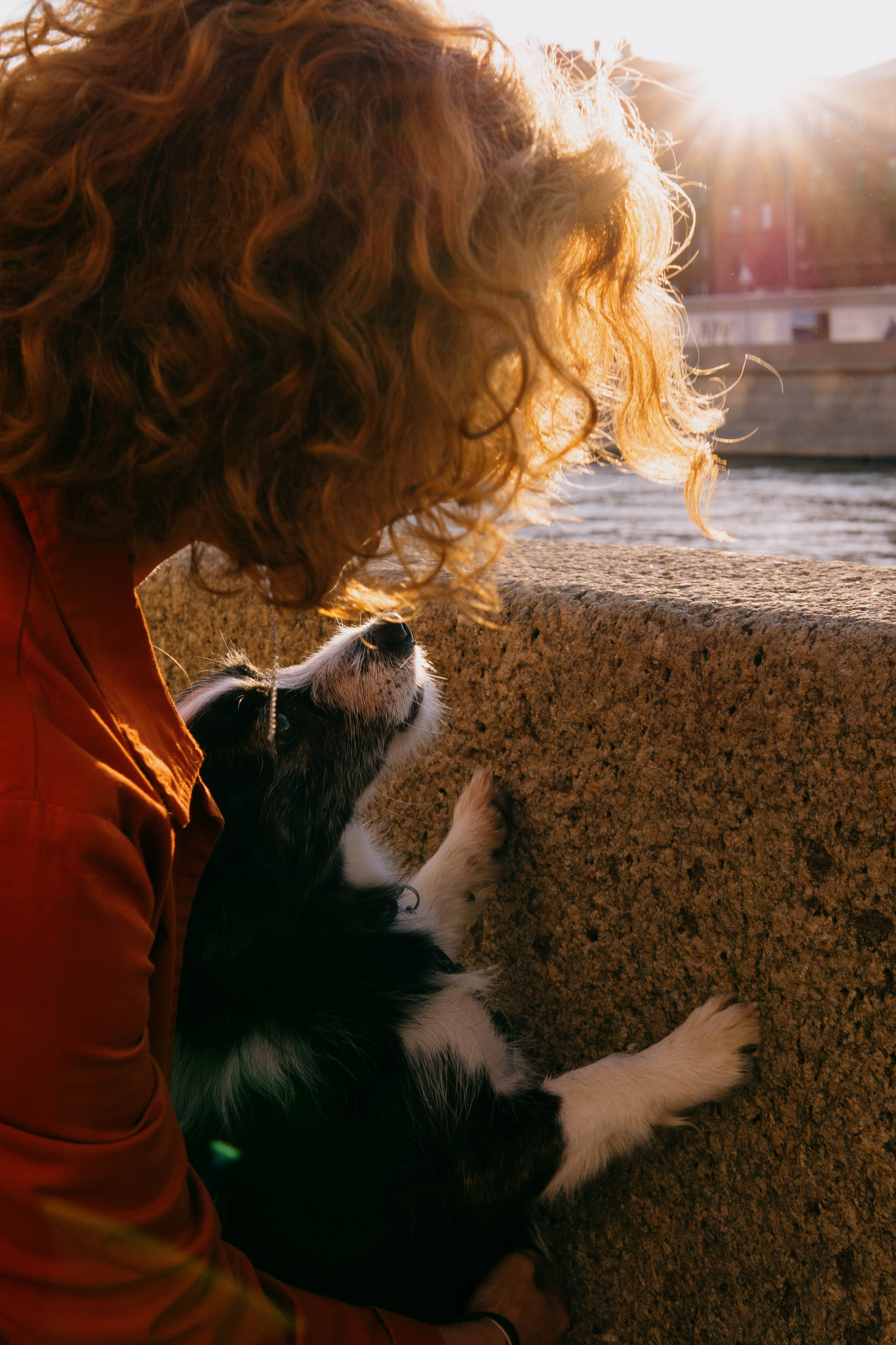 Даша и Тюбик. Фотограф-анималист Ксения Воробьева, Москва