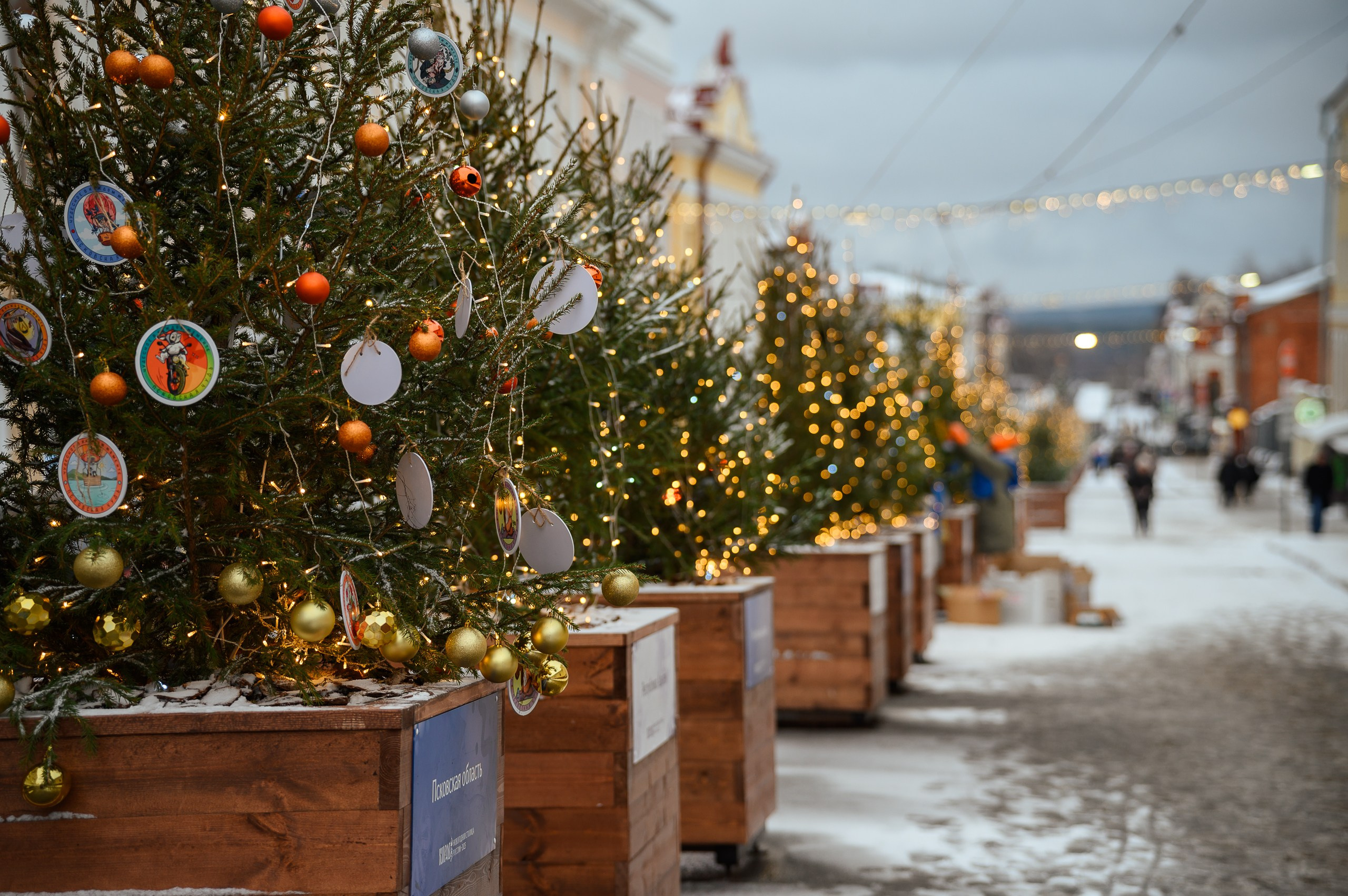 Новогодние волонтеры | Открытие Новогодней столицы Кирова 2025. Репортажный фотограф в Кирове Александр Лутошкин