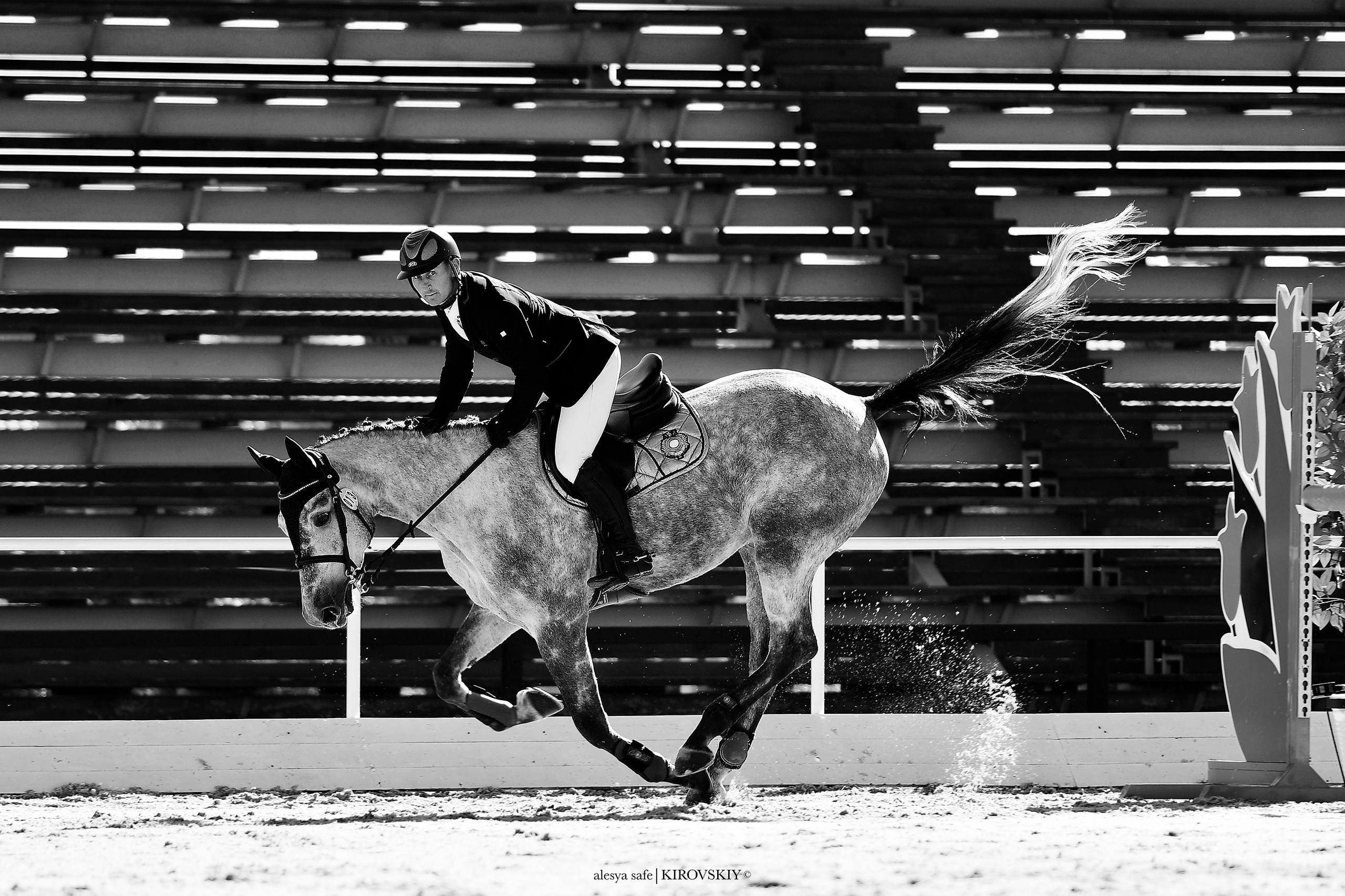 Кировский конный завод. Конный фотограф Alesya Safe