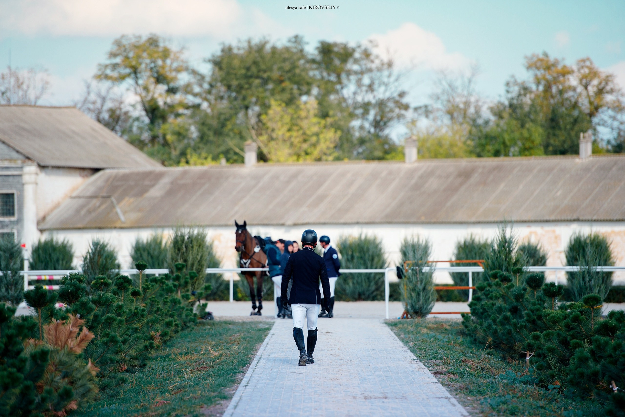 Кировский конный завод. Конный фотограф Alesya Safe