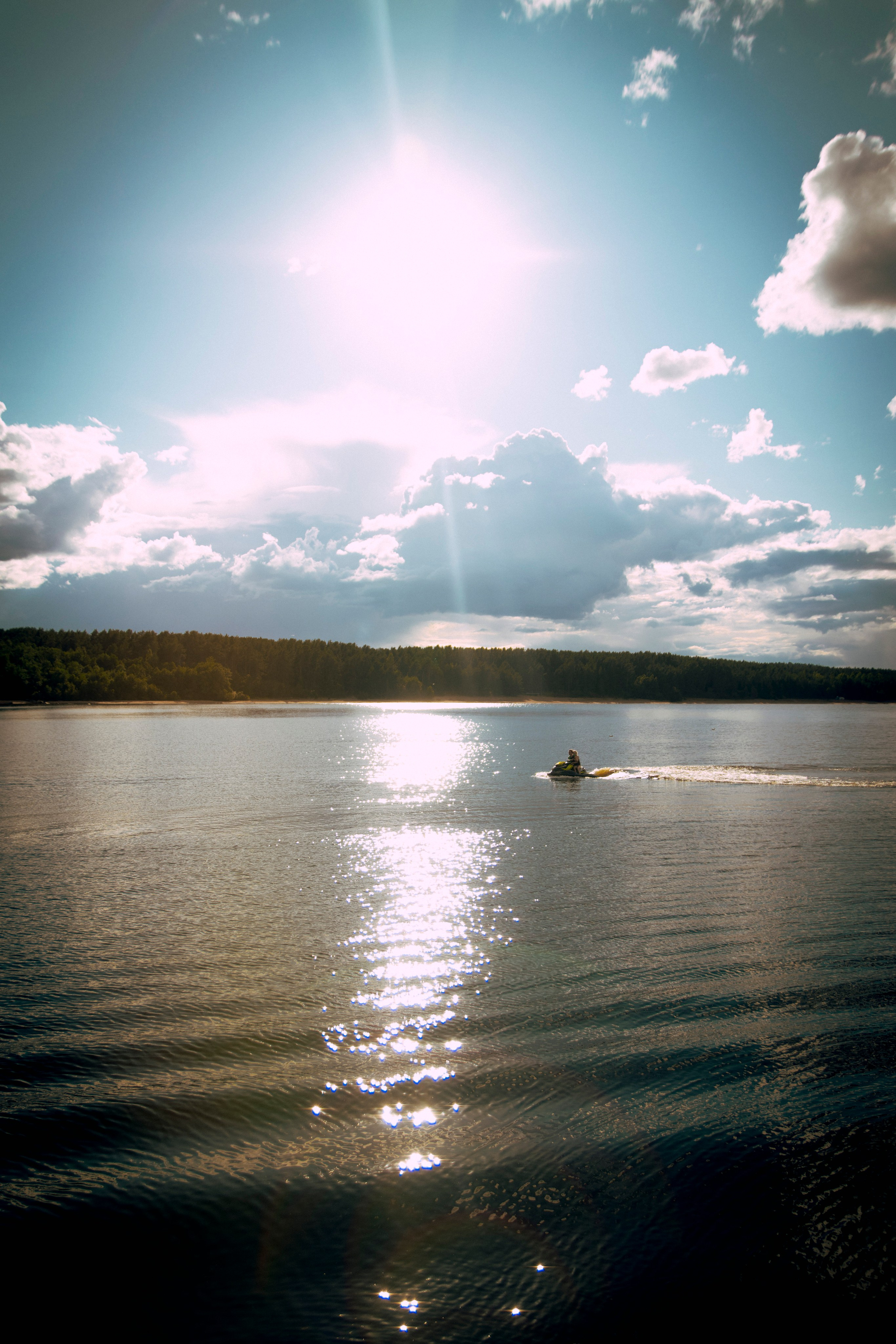 Из наблюдений. Плак или Квак