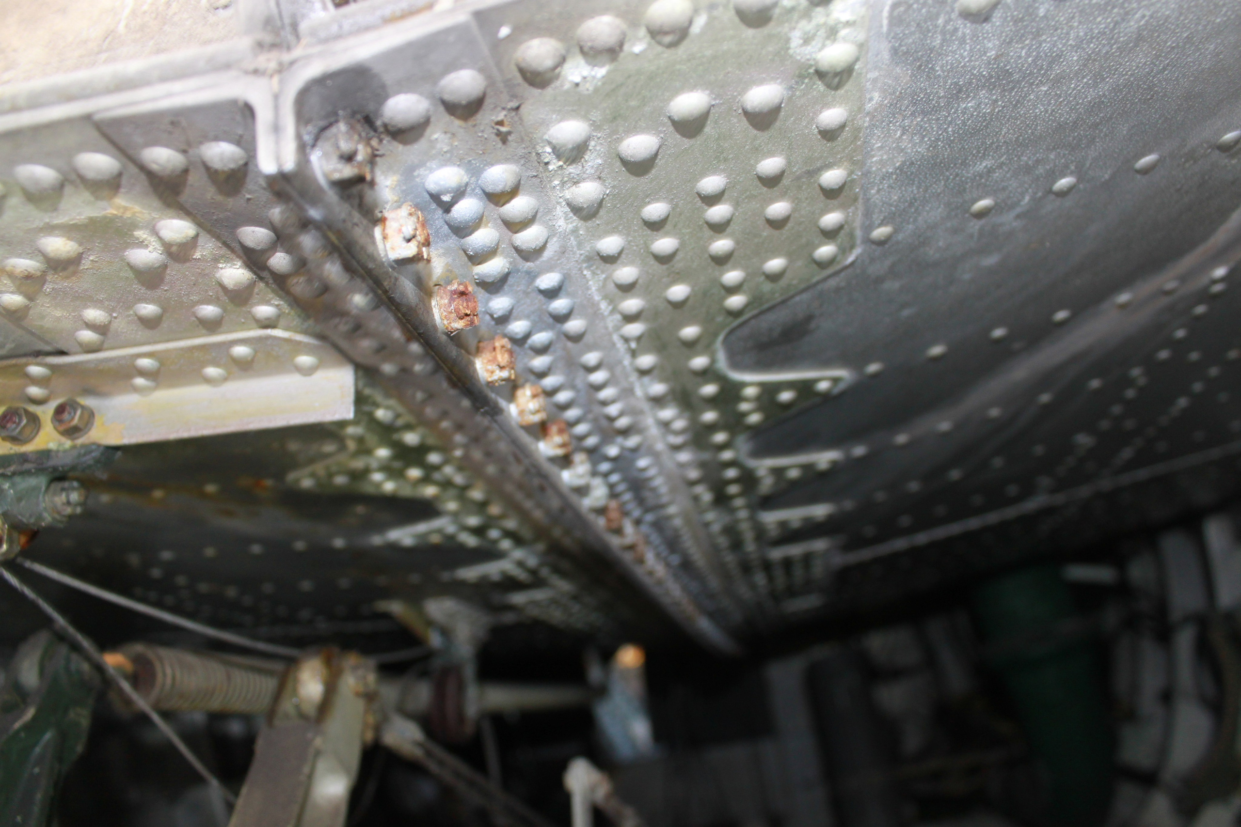 Ил-14Т «Голубая Мечта» работы в Тушино (2011 г.). Фотоальбом показывающий увлекательный мир авиации и мир медведей Андрея Иванова