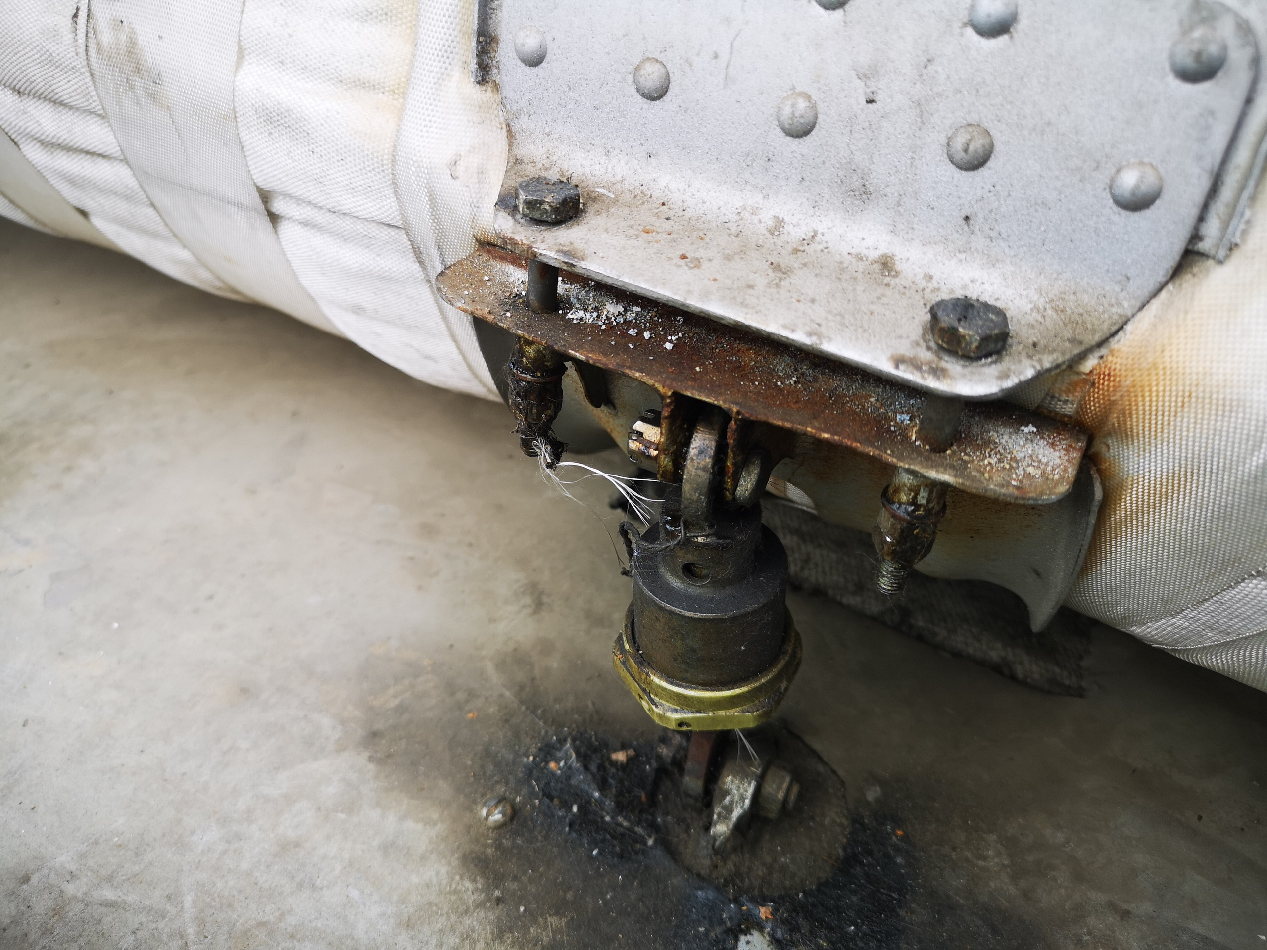 Ил-14Т «Голубая Мечта» (2020 г.). Фотоальбом показывающий увлекательный мир авиации и мир медведей Андрея Иванова