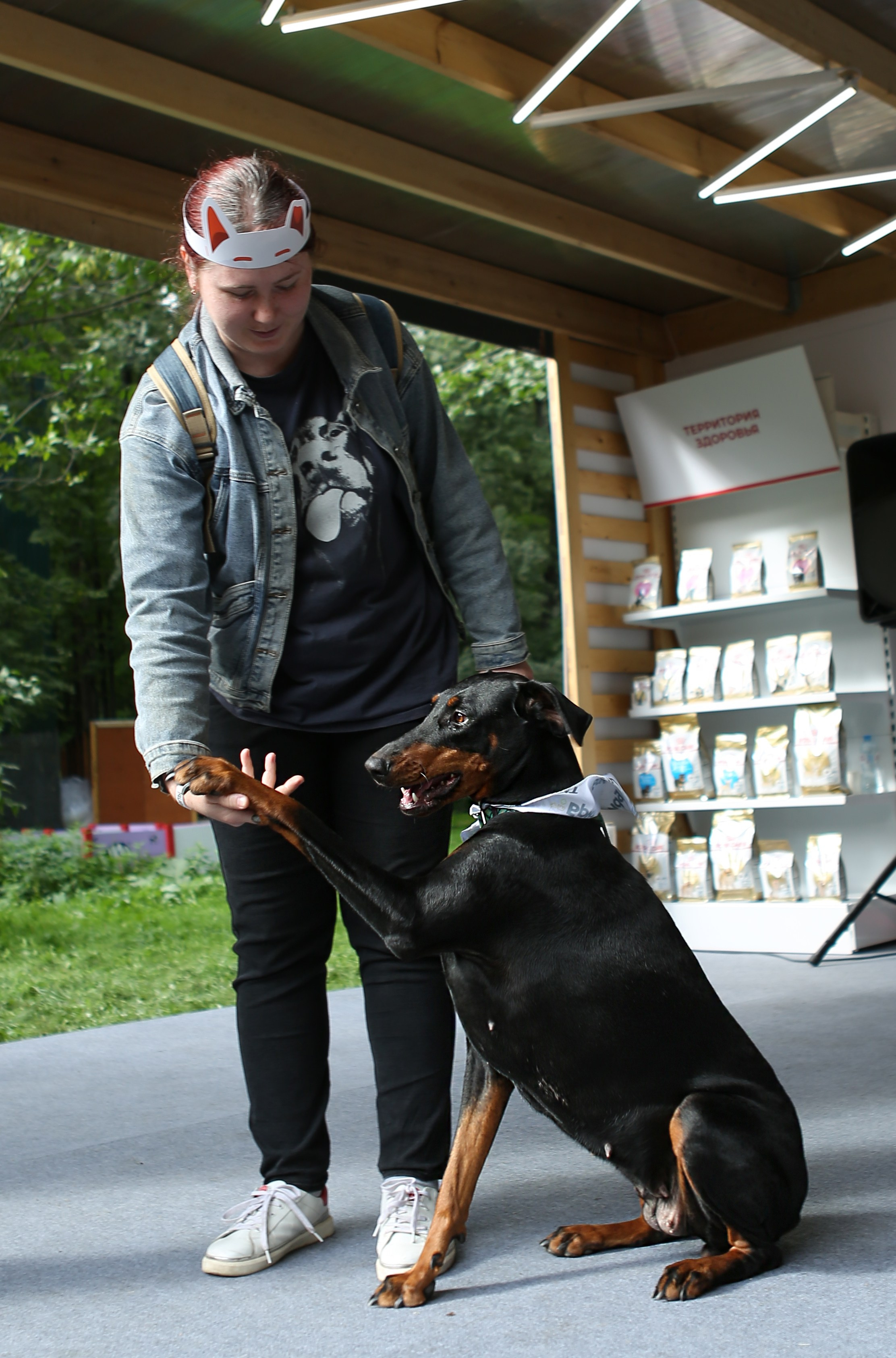 4 лапы фест Измайлово 2025