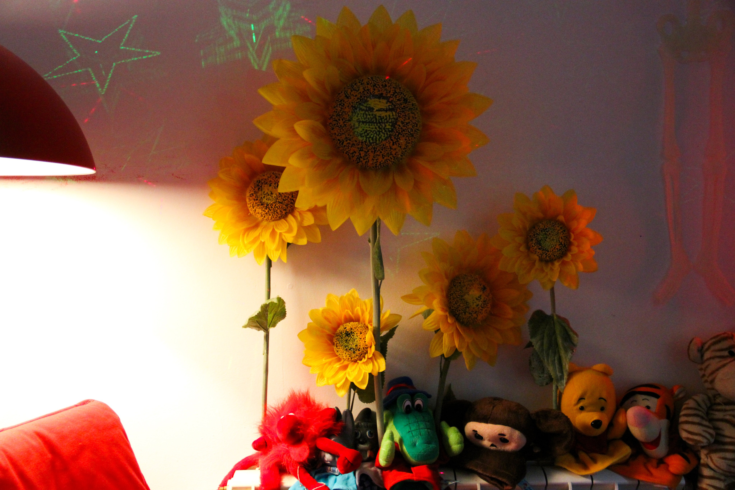 Катя ДР 13 лет 01.12.2012. Семейный, Свадебный фотограф СПБ Питер— Романова Екатерина