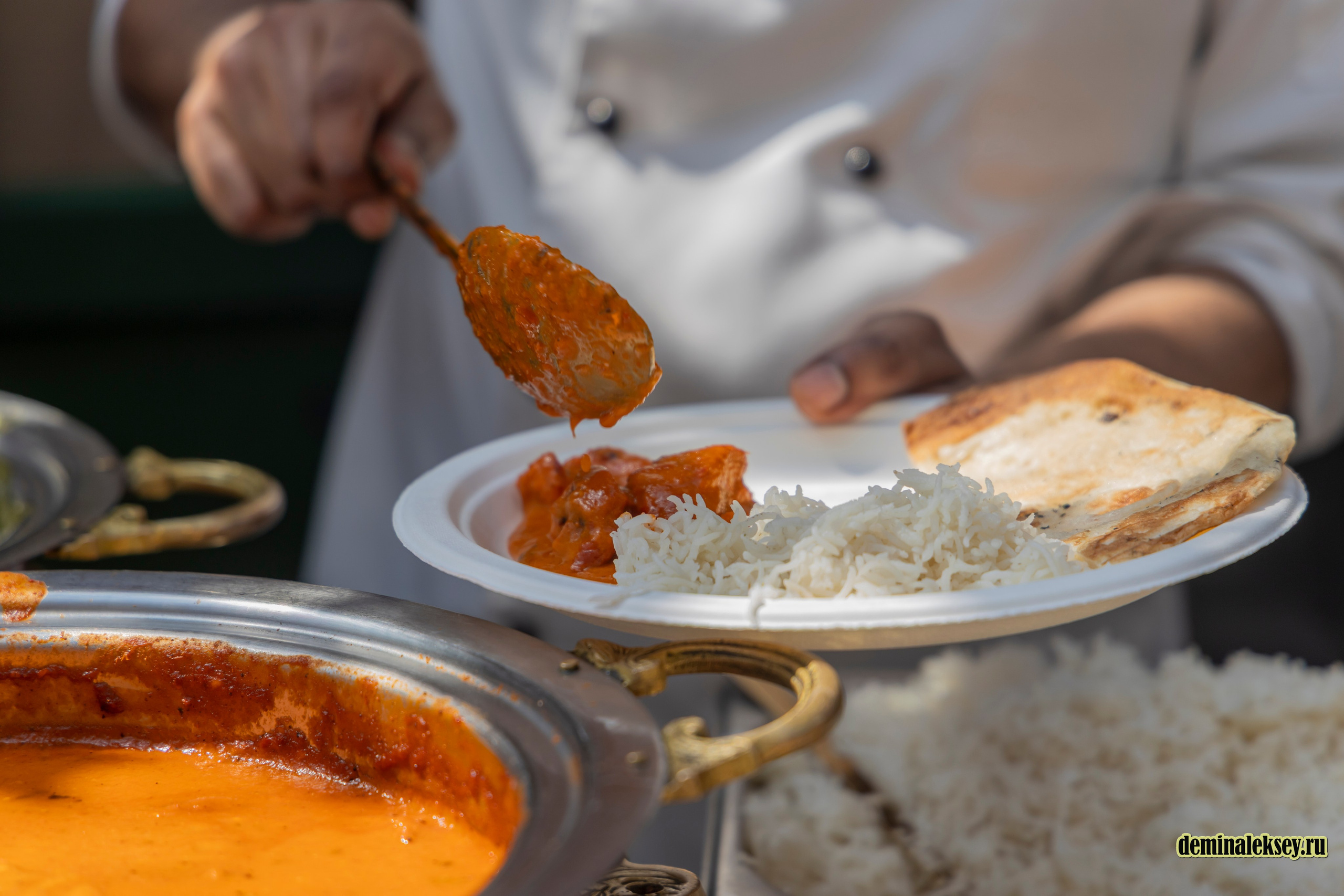 Фестиваль Дни индии на Манежной площади. Репортажный, семейный и студийный фотограф в Москве Демин Алексей