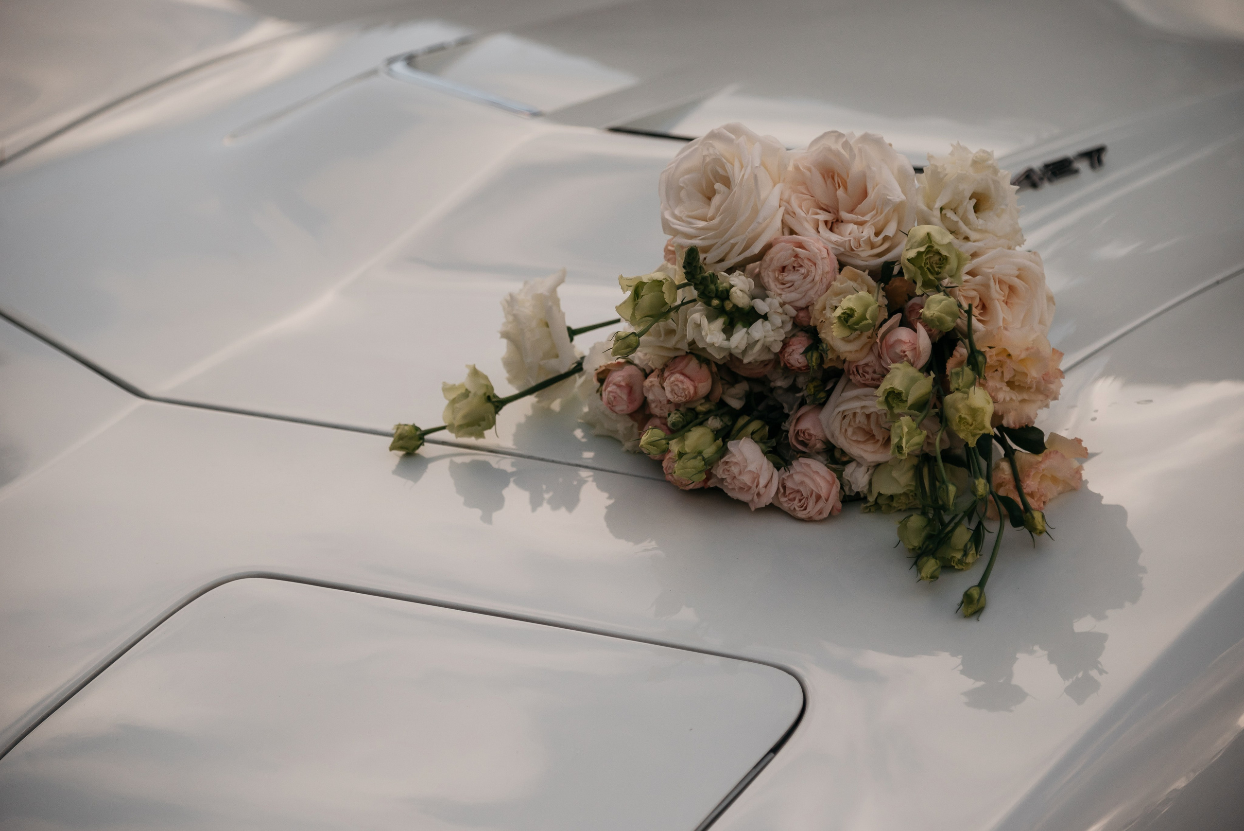 Ялта. Дача Чехова. Свадебный фотограф Анна Хочева