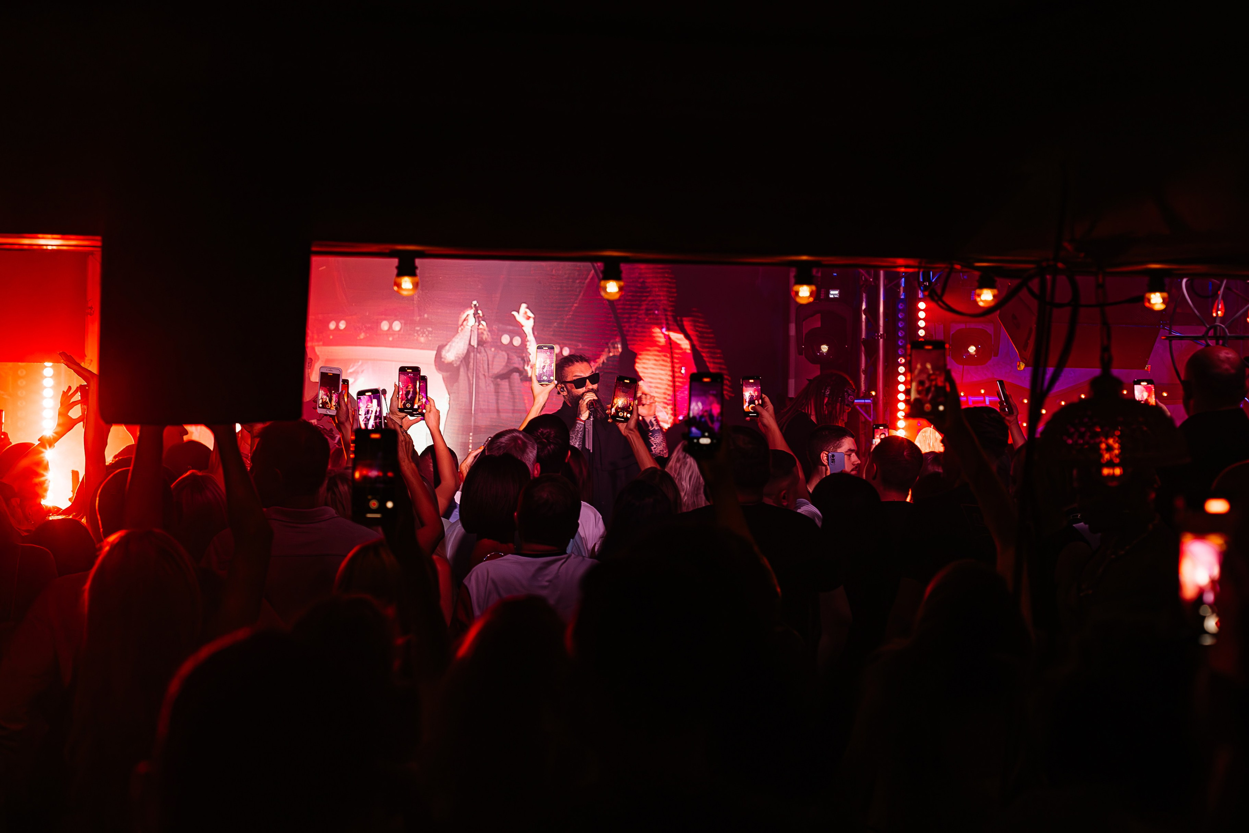 Бурито_Чайка_на_пляже_Ялта 23.08.2024. Аминов Руслан | Фотограф