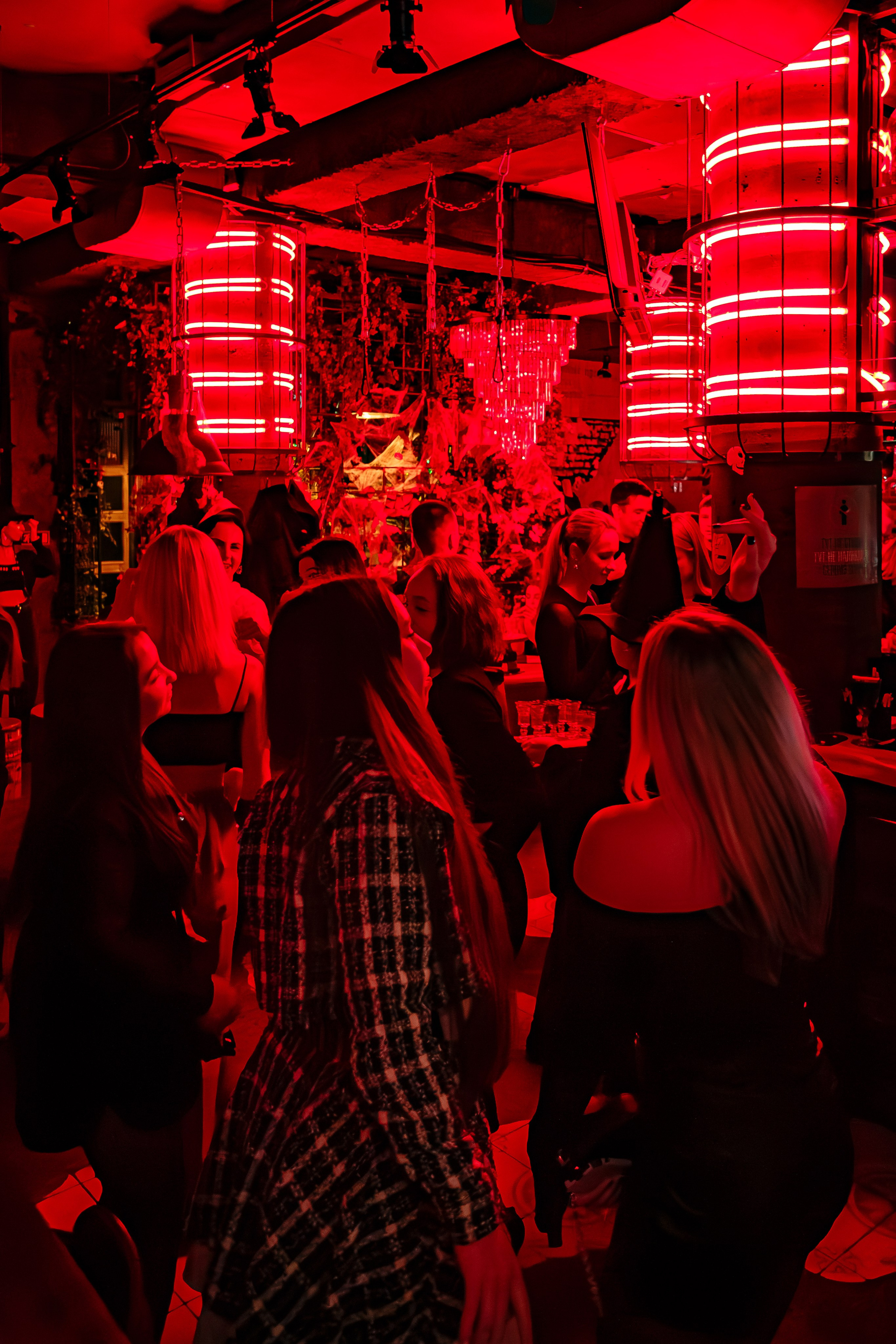 Пьяный плющ «Halloween"_Симферополь_2.11.2024. Аминов Руслан | Фотограф