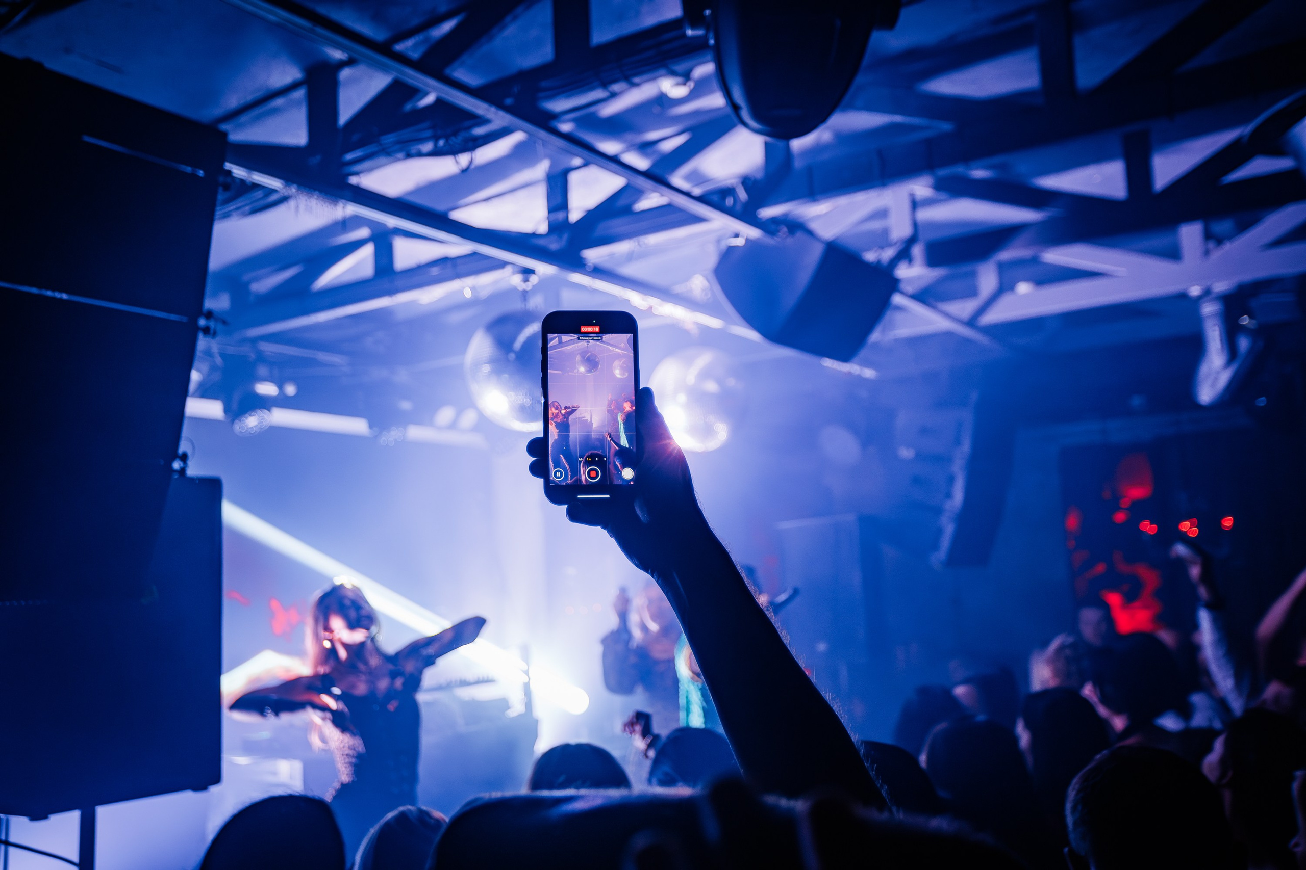 «Джиган"_Чайка на пляже_Ялта_12.07.2025 г. Аминов Руслан | Фотограф