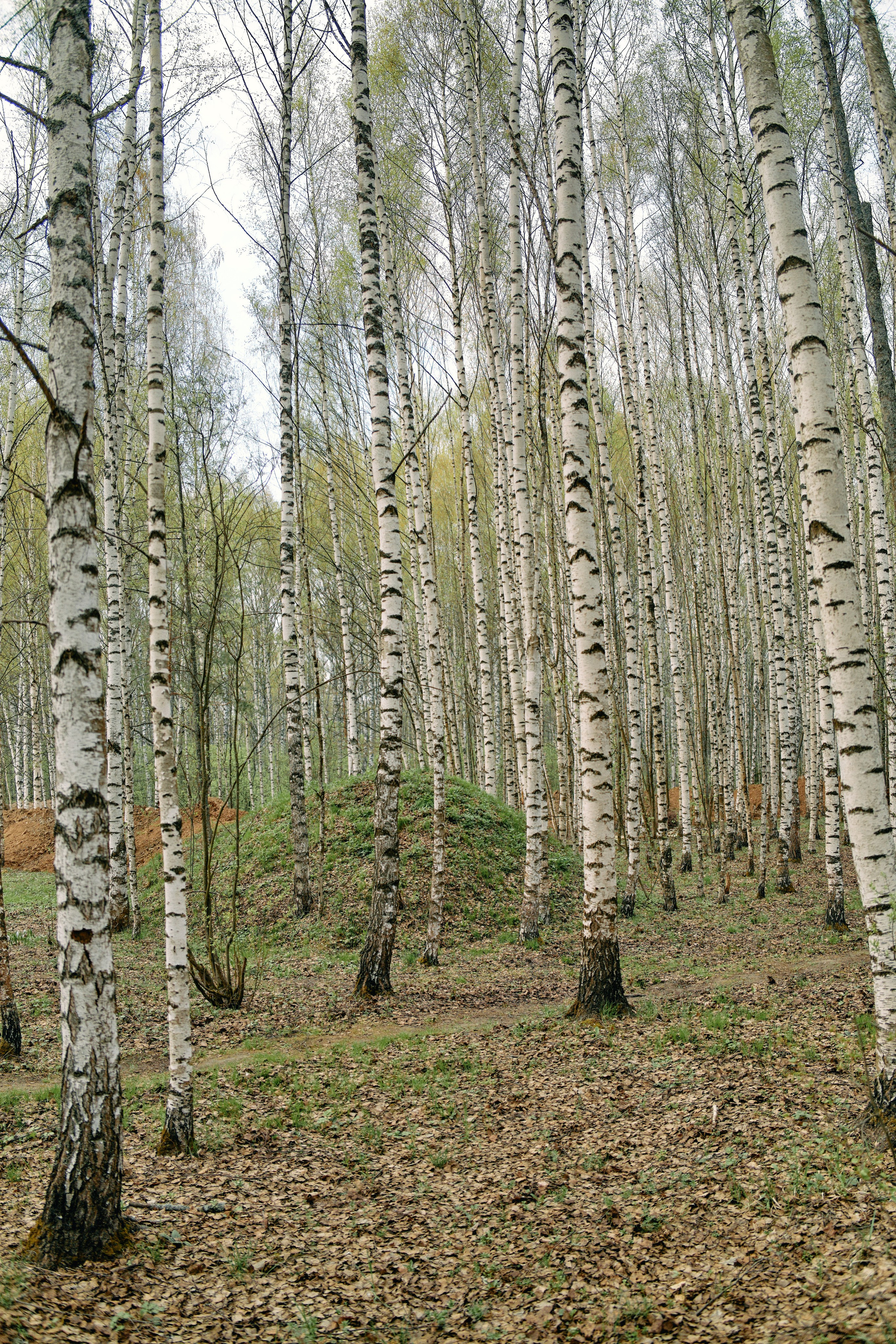 Бутик-отель Поле летом. Профессиональный Фотограф во Владимире, в Москве и в Суздале — Полина Романычева