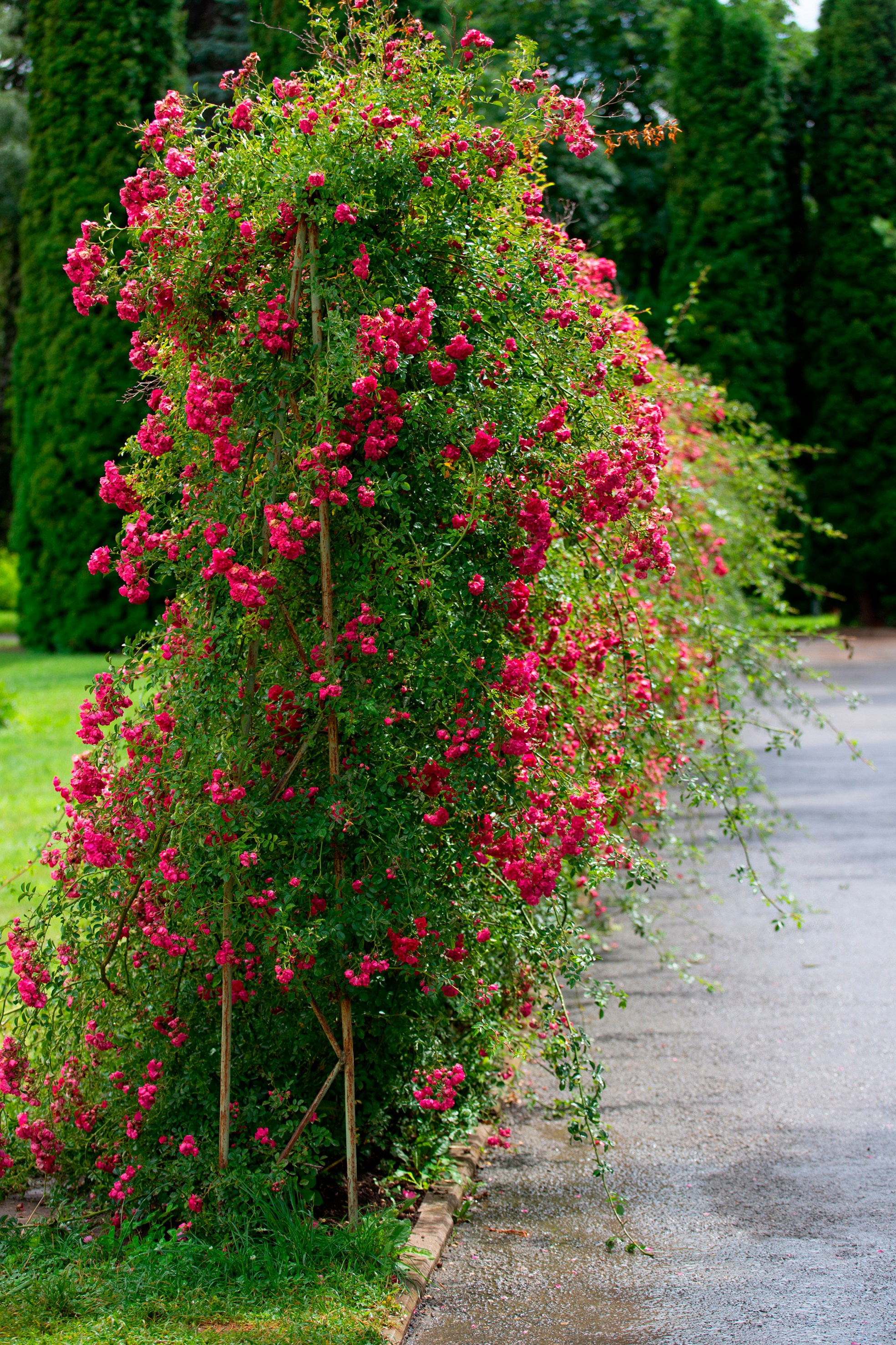 Природа. Команда фотографов Кристины Ивановой